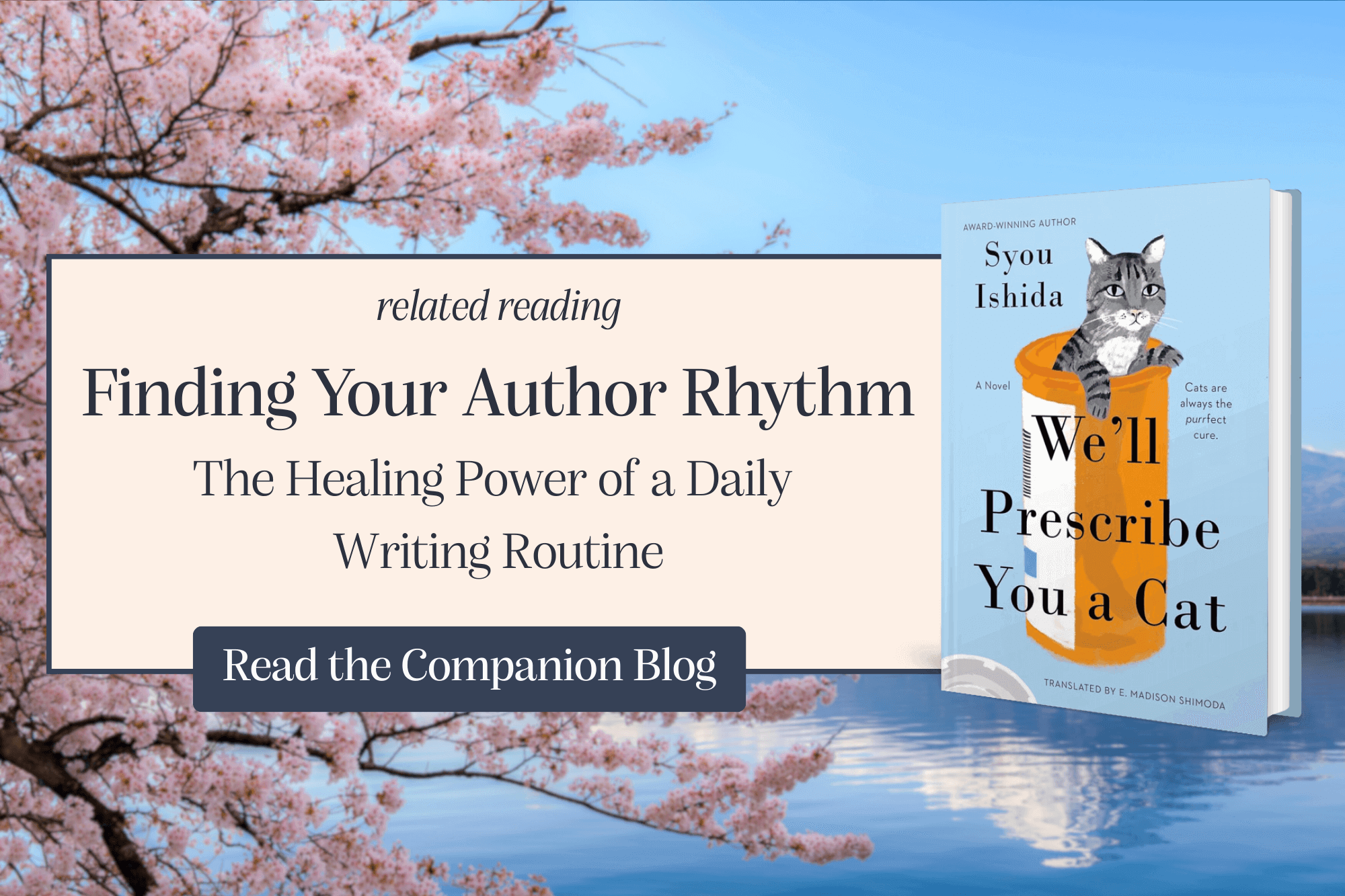 Finding Your Author Rhythm, The Healing Power of a Daily Writing Routine