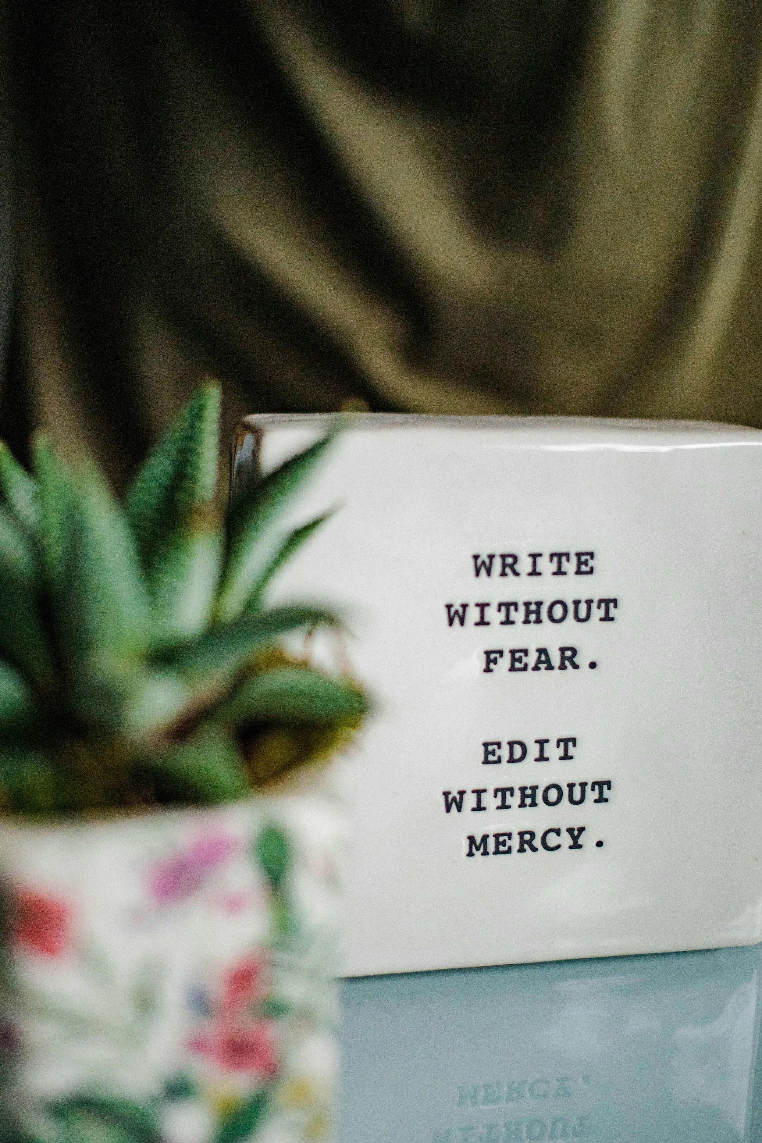 Write without fear edit without mercy