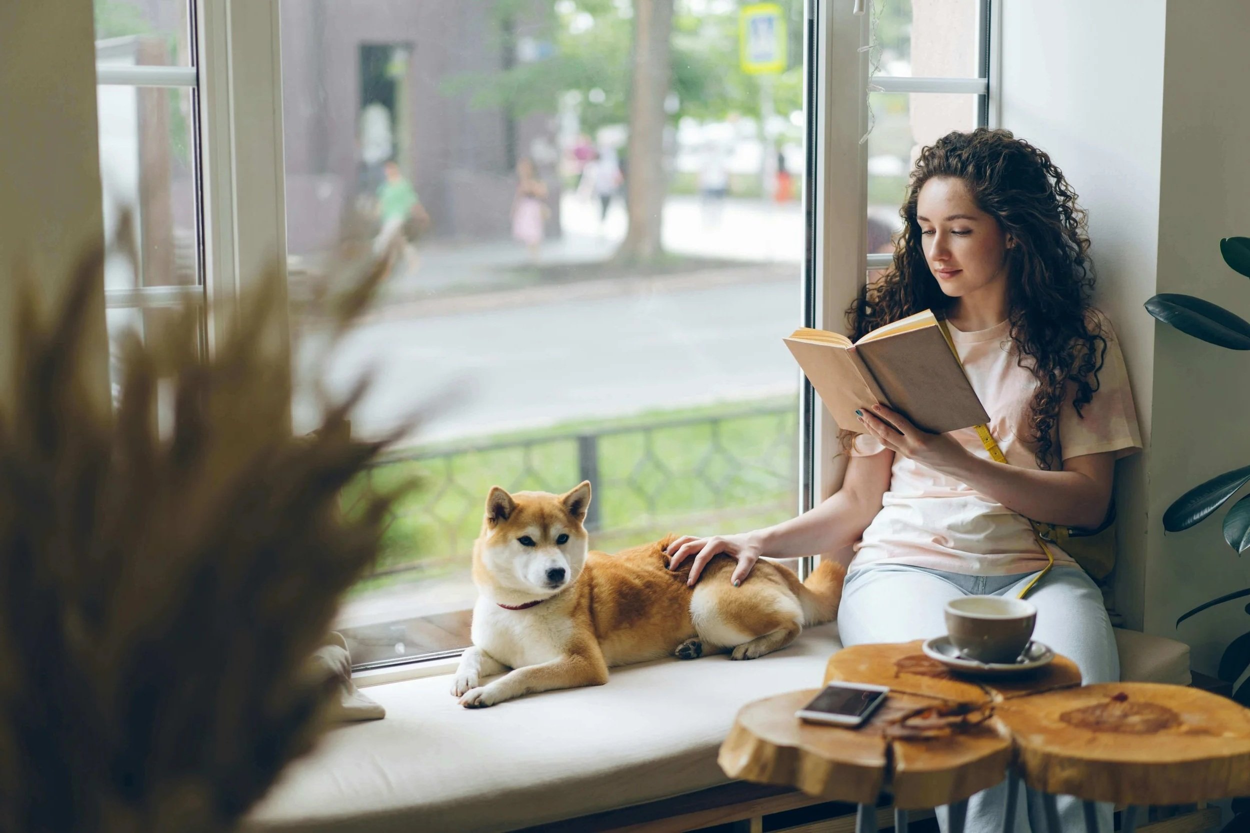 peaceful reader with book and dog in window
