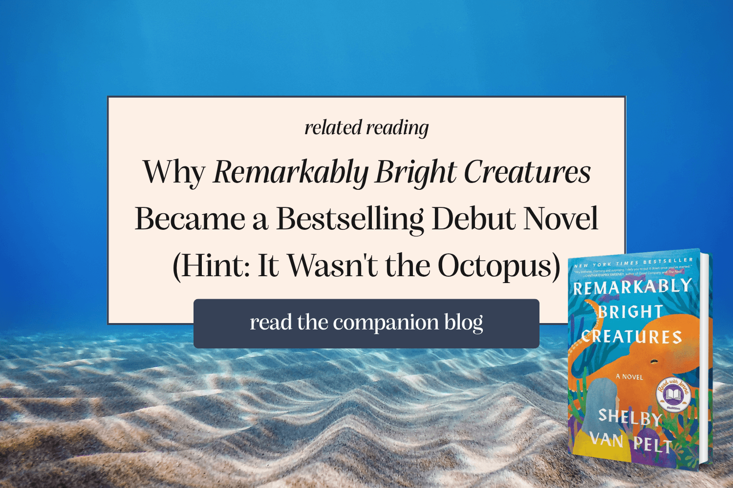 Why Remarkably Bright Creatures Became a Bestselling Debut Novel
