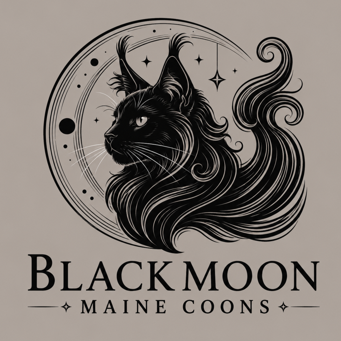 BlackMoon Mainecoons