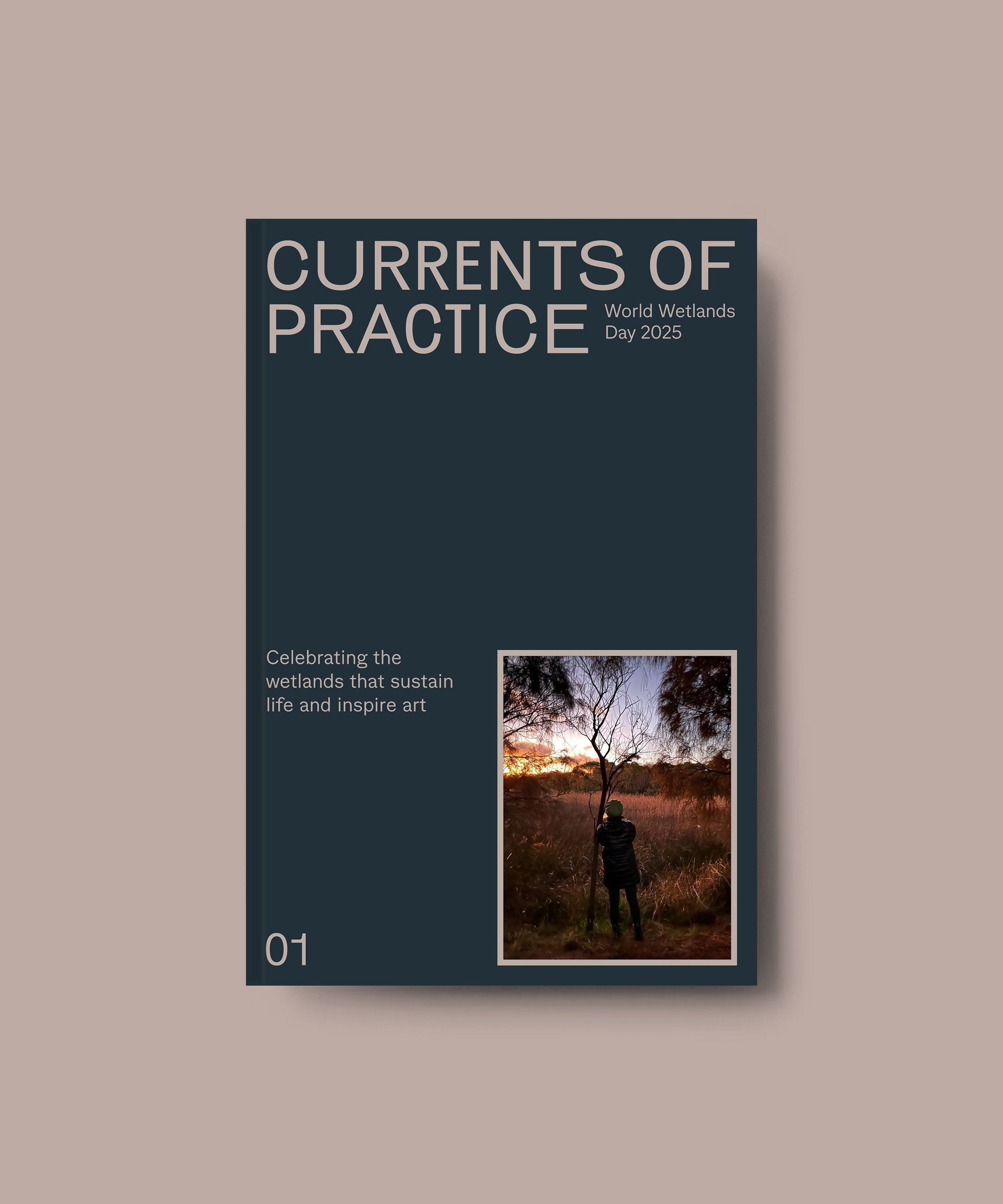 Book Cover Mockup.jpg