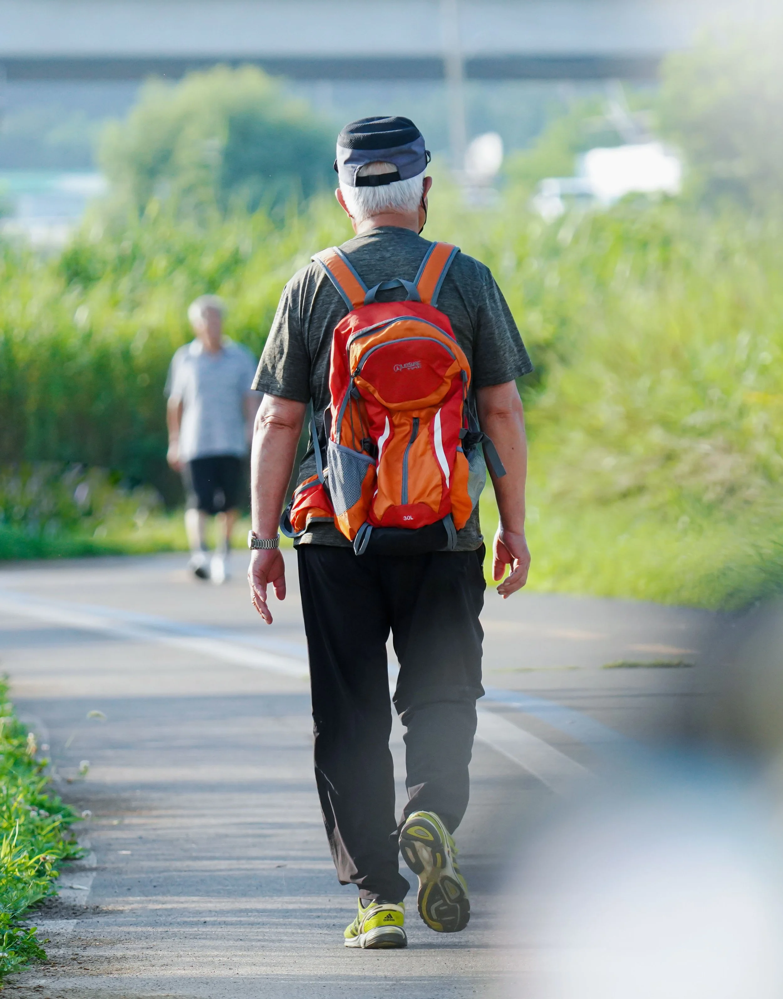 Brain and Body Longevity: Habits for Healthy Aging