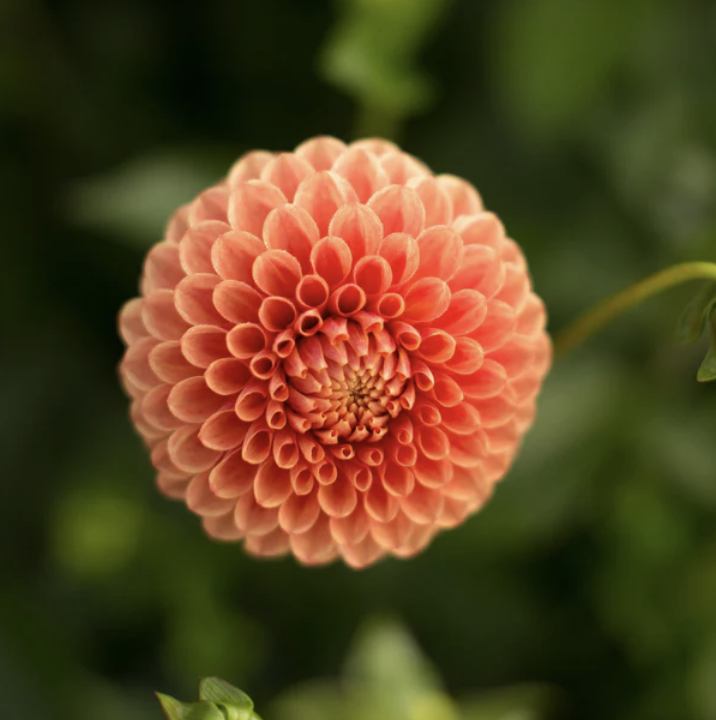 Screenshot 2026-04-25 at 10.02.19 AM.png