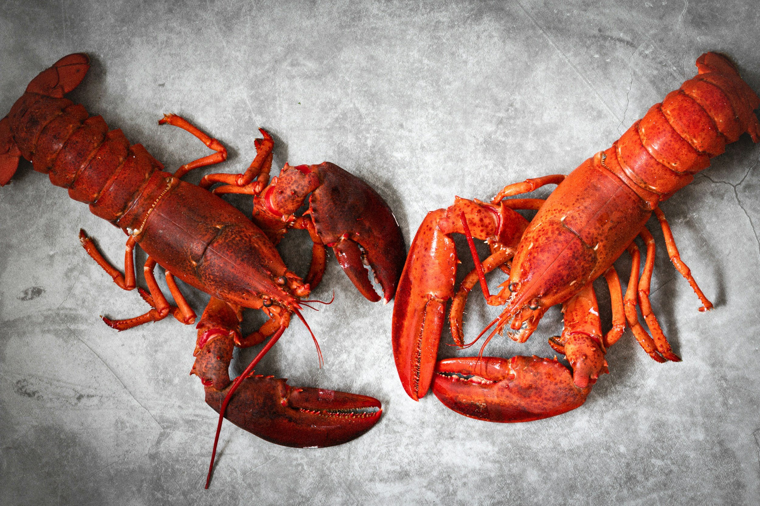 Naples Seafood & Music Festival