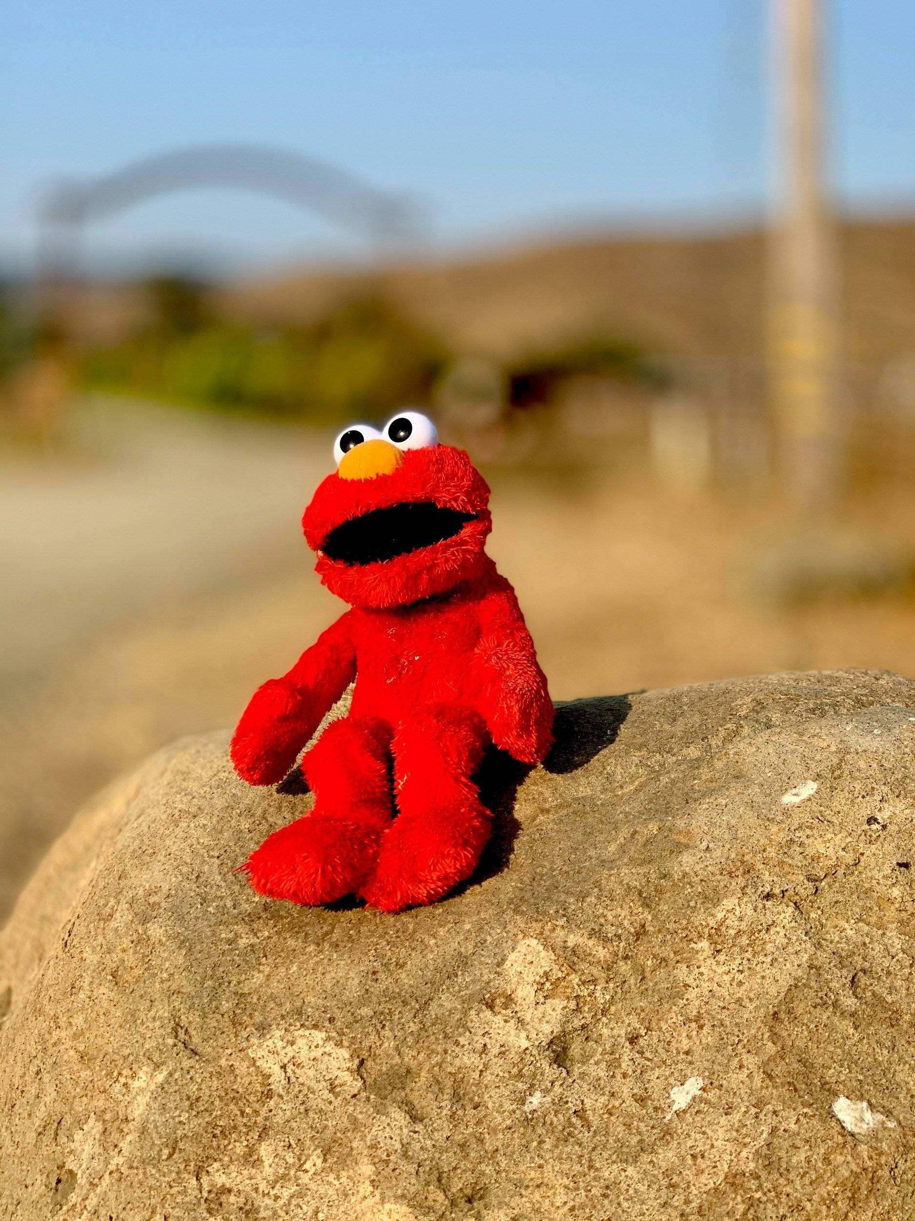 Eggos with Elmo