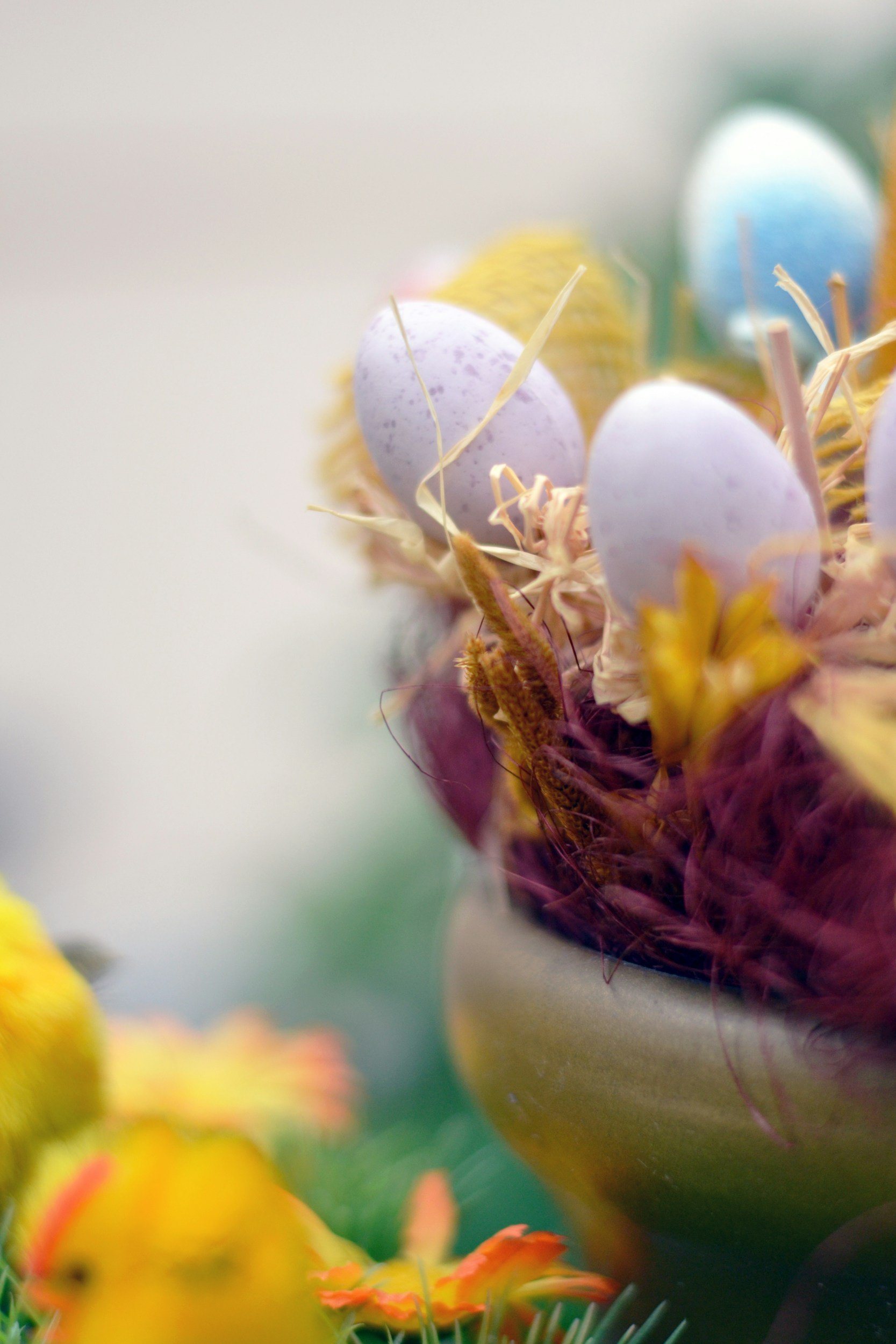 Easter Ranch Roundup!