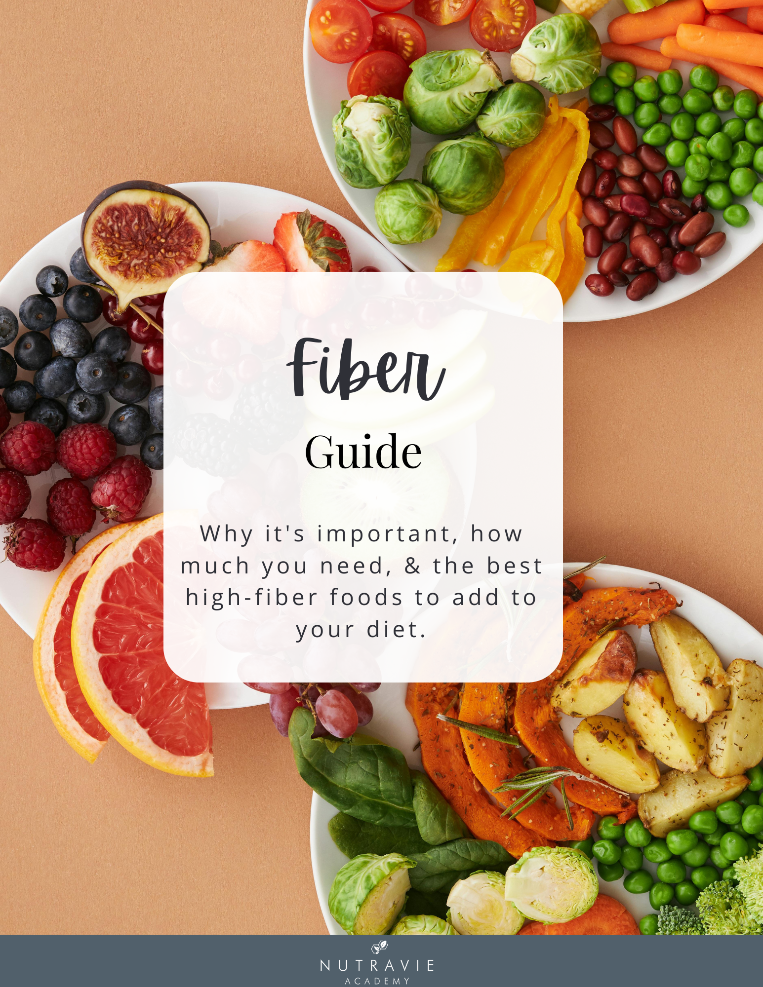 _Fiber Guide.png
