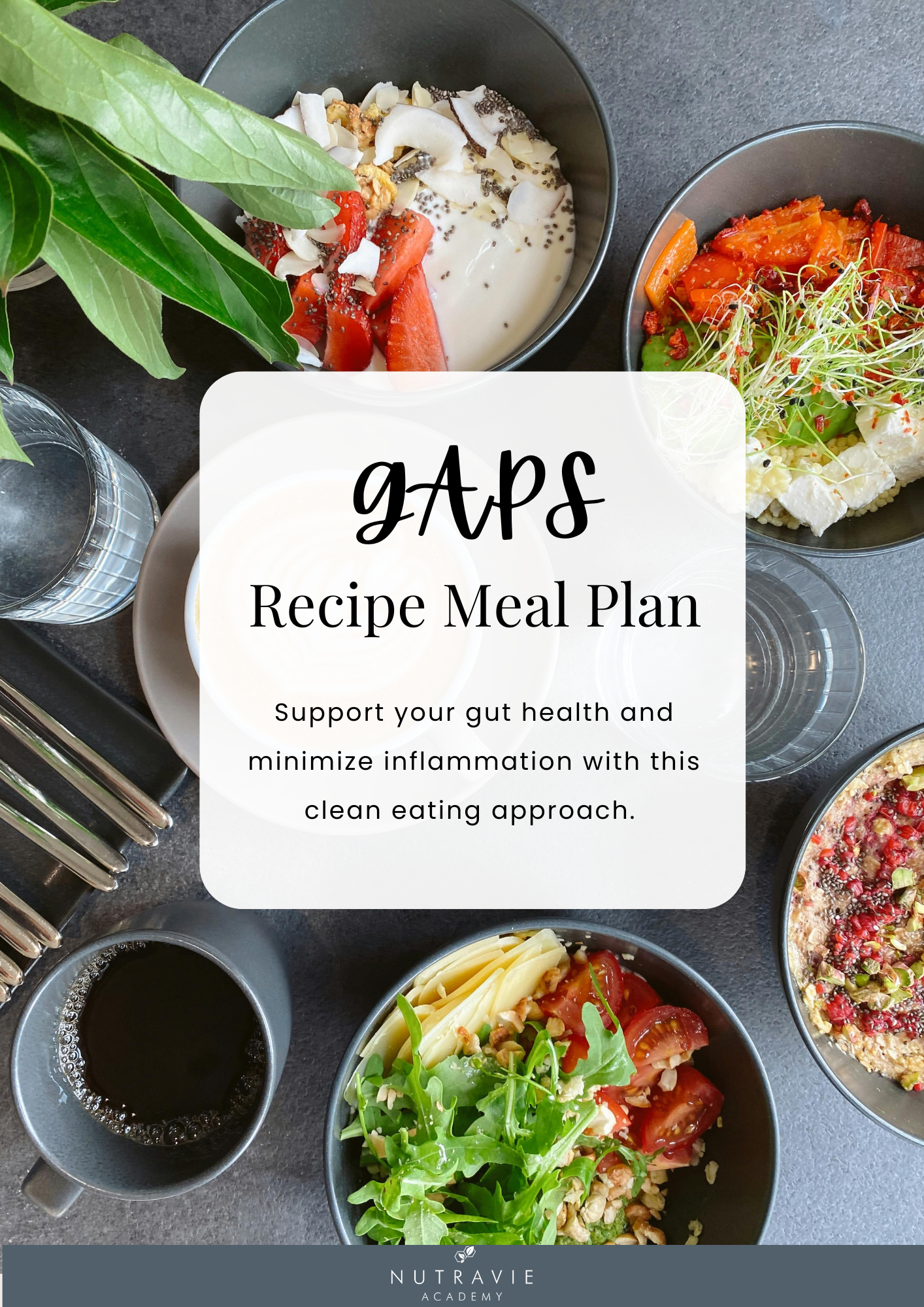 GAPS Recipes and Meal plan.png