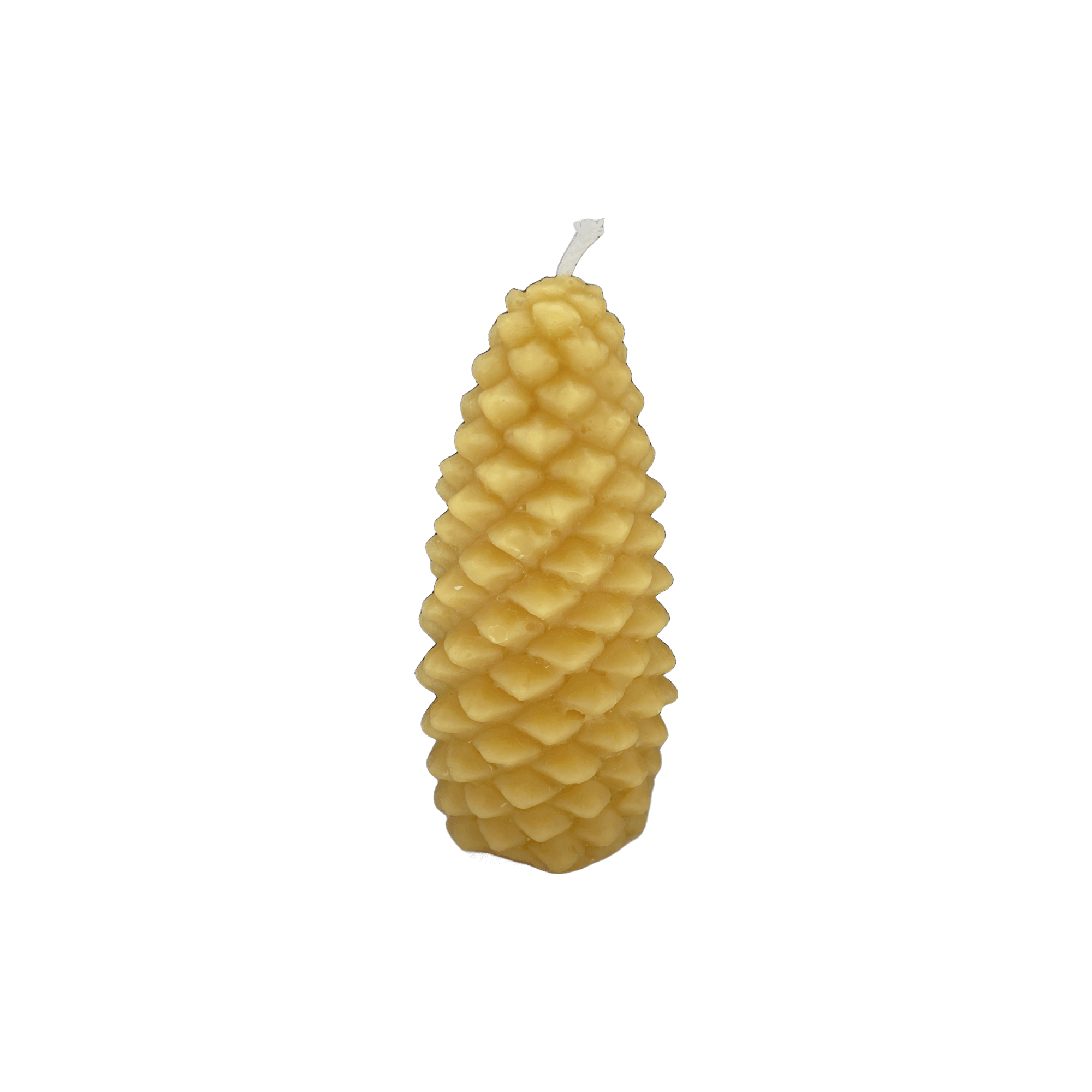 Yellow Beeswax Pine Cone.png