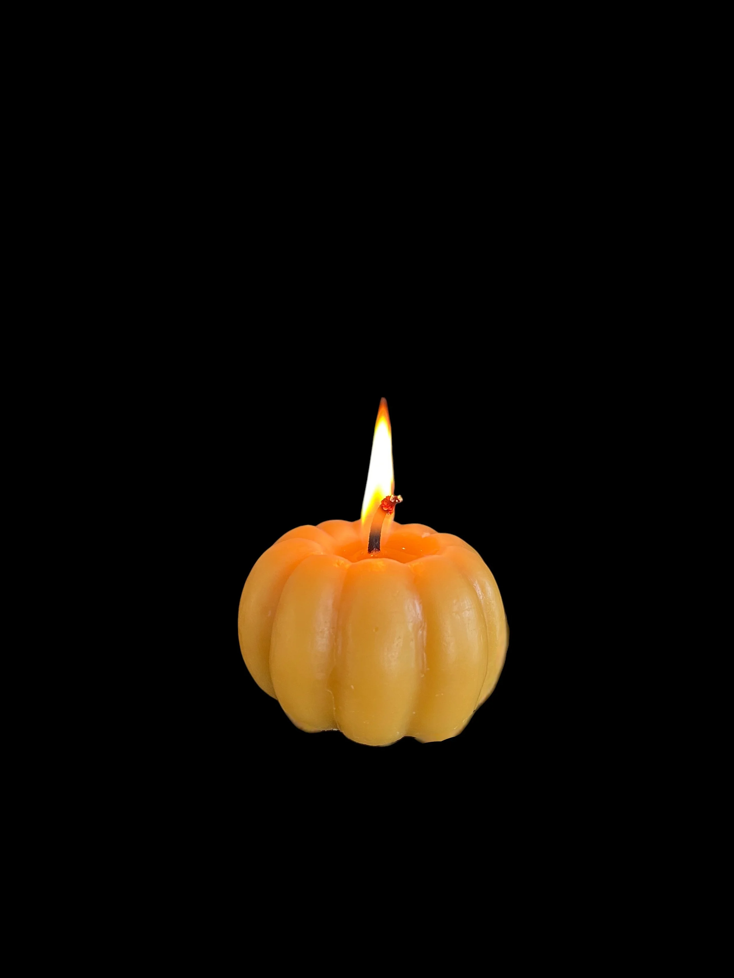 Pumkin2-Photoroom-Photoroom.jpg