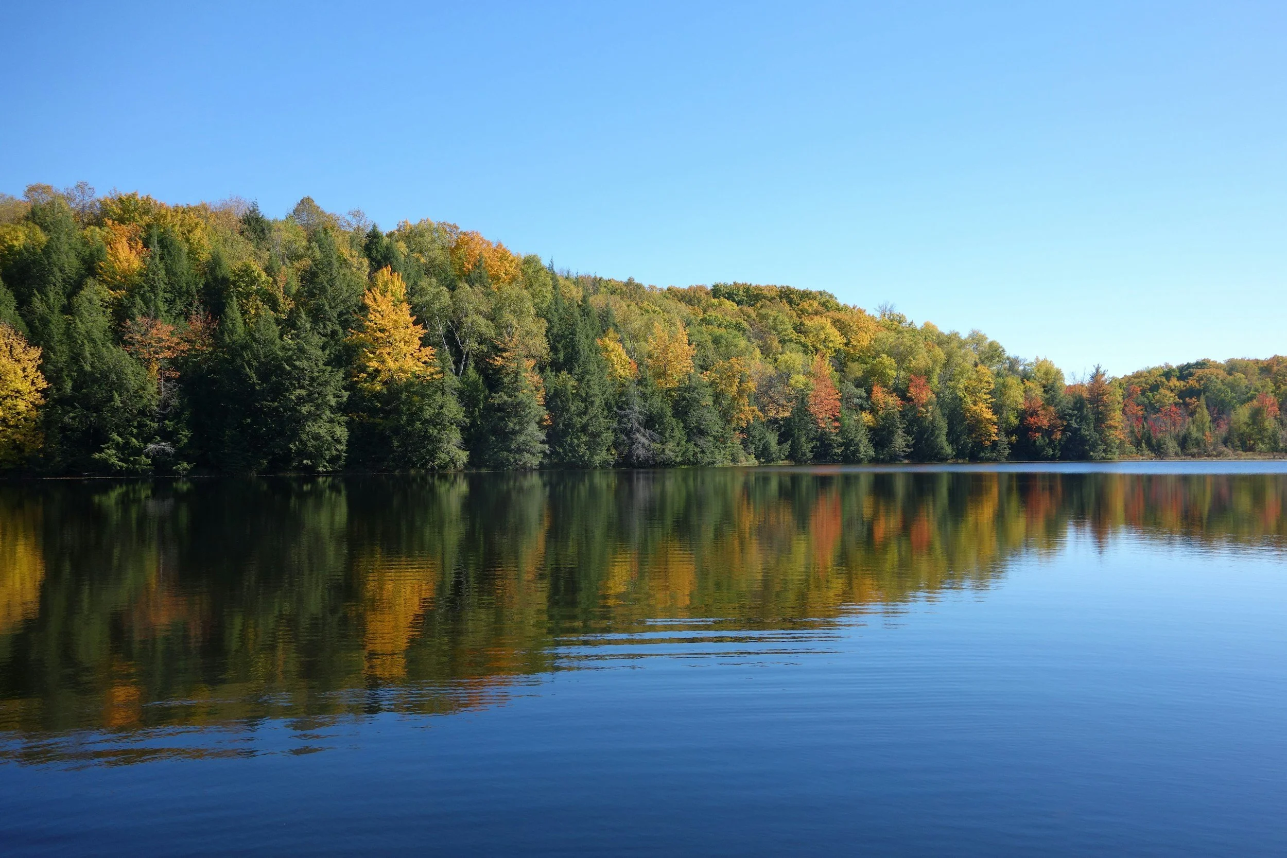 Believe In The Lake