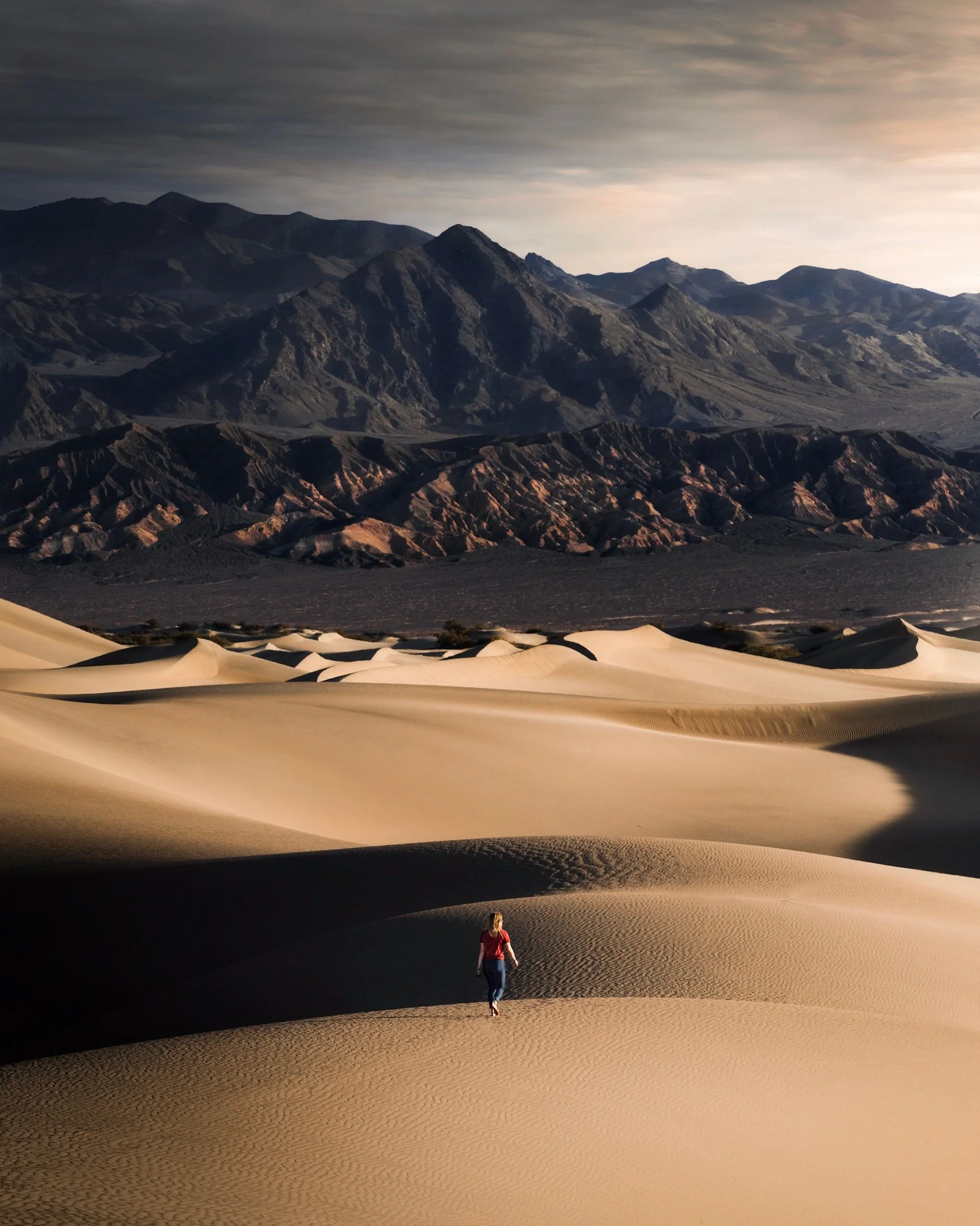 Desert Study Guide