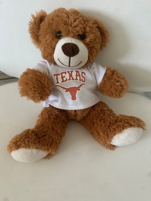 UT Longhorn Stuff Bear