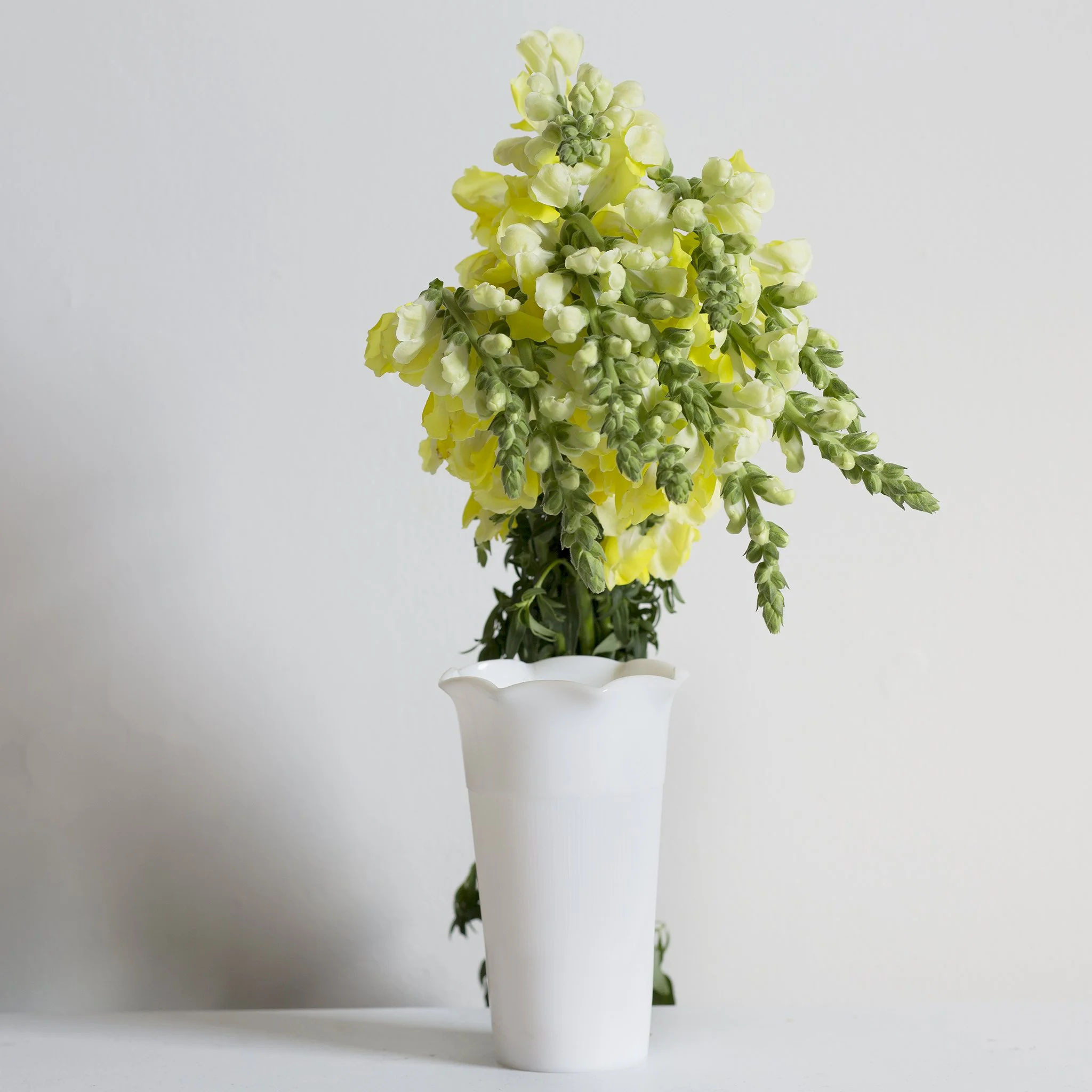 Flowers3.jpg