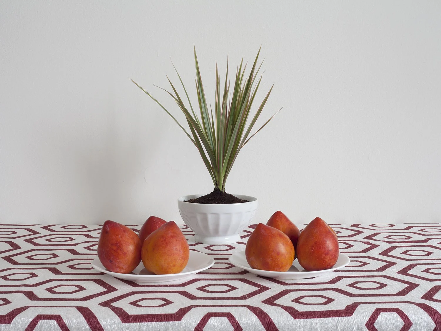 GreenPlant_RedPlums.jpg
