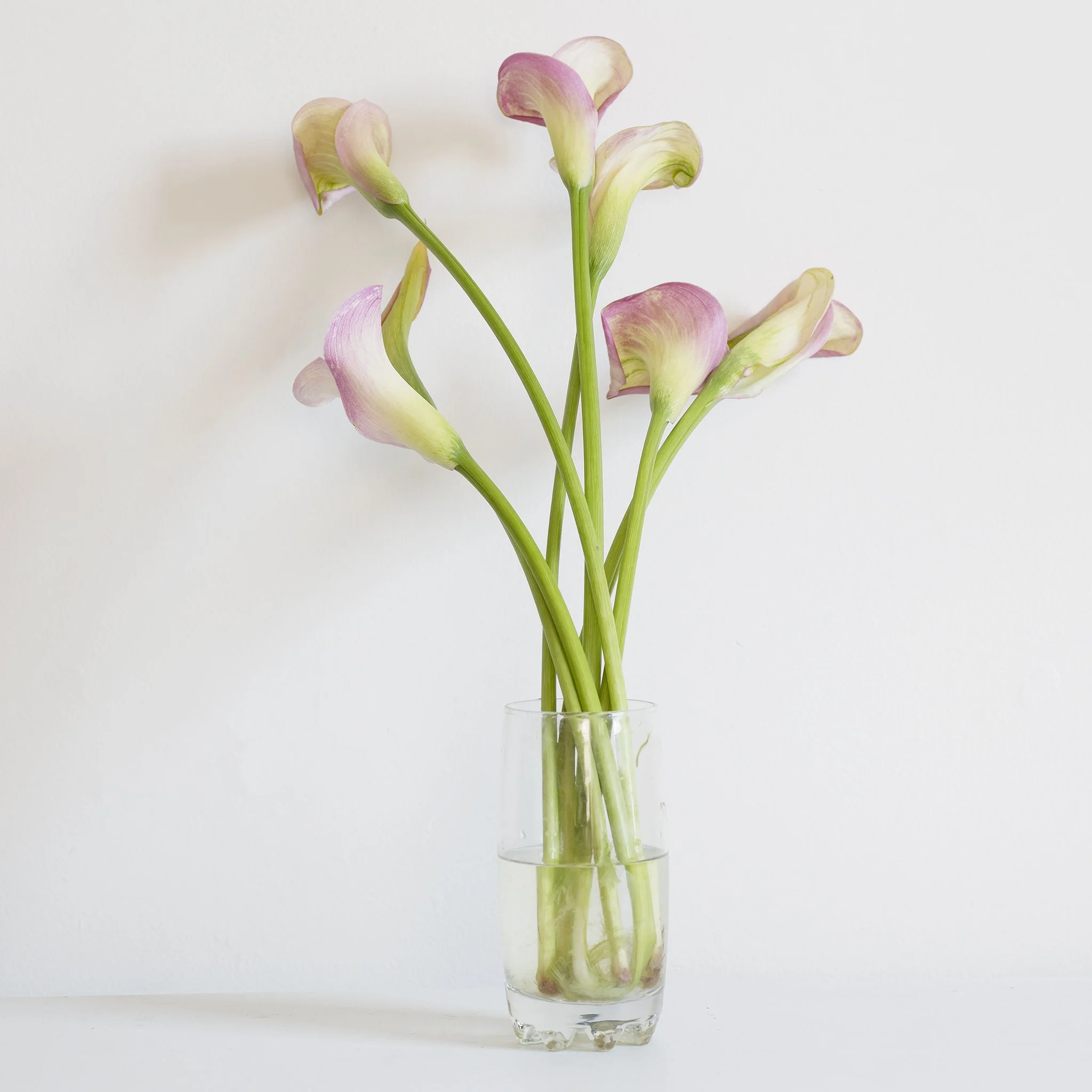 Flowers2.jpg