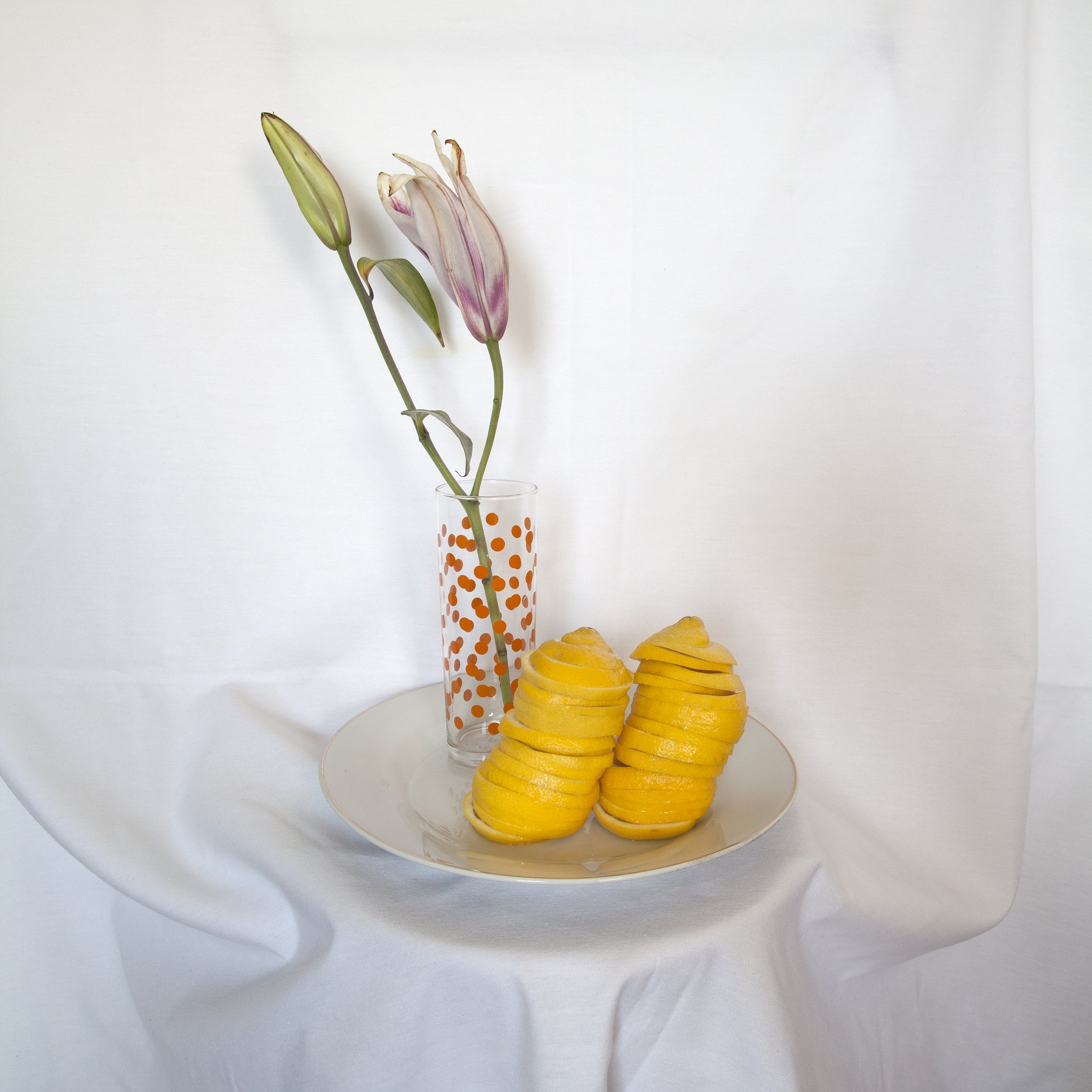 BraslavskyMilana.StillLifewithLemons.DigitalCPrint.28x28.2013.jpg