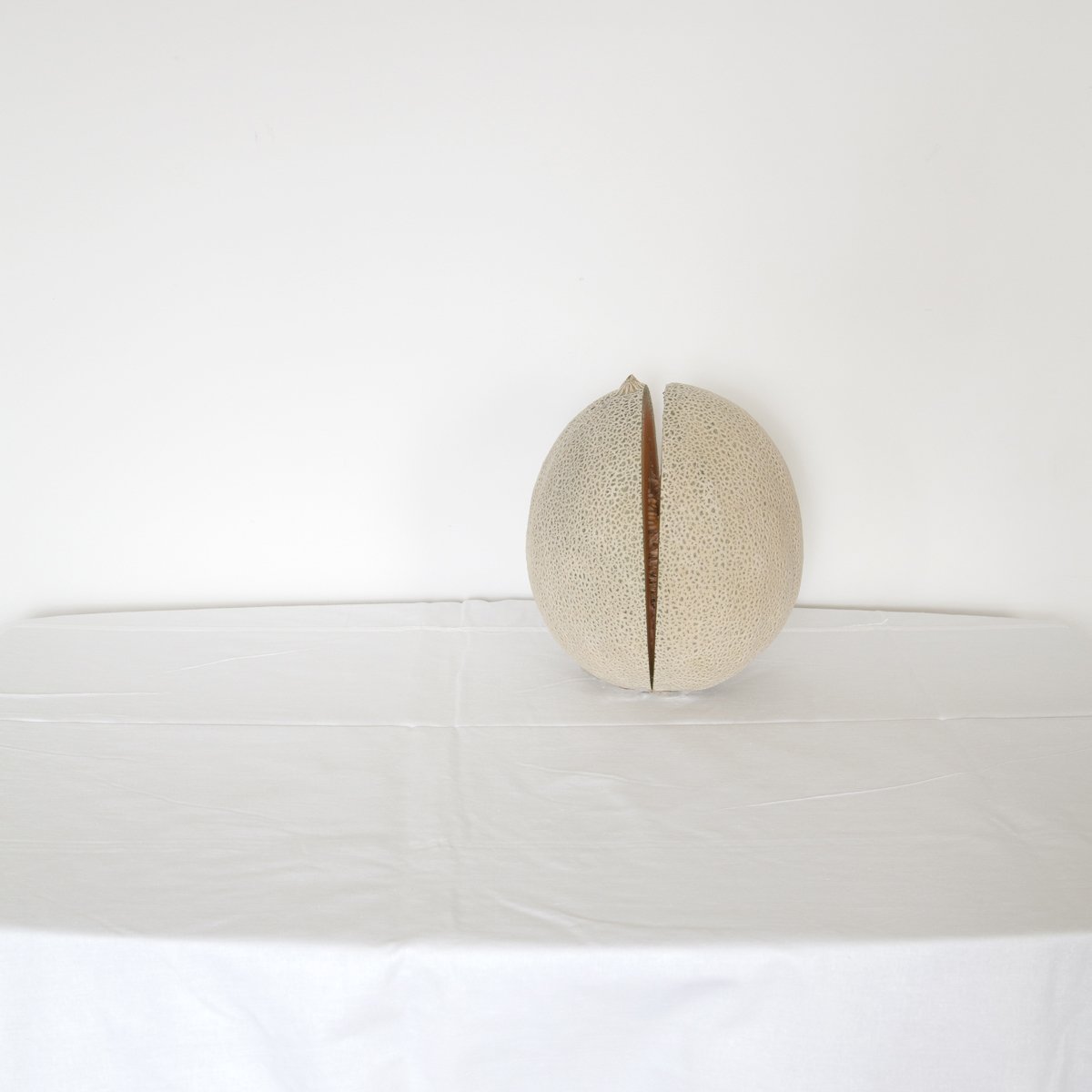 Braslavsky_16_StillLifewithMelon_2013.jpg