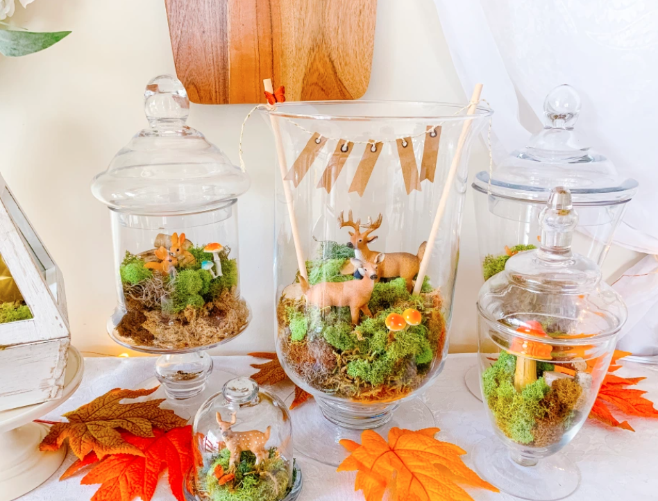 Season of Gratitude Terrarium Class