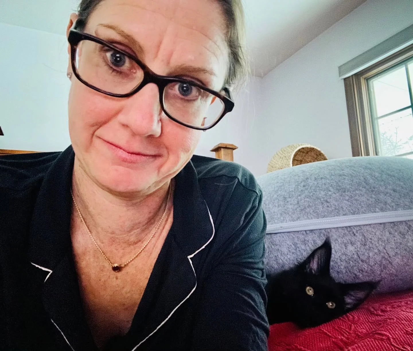 Darwin the Explorer finally met his match! He is about to get into a lot of mischief with Wendy and her family, including plenty of canine and feline co-conspirators. This boy sure lucked out! Here's a little feedback from Wendy herself via Google re