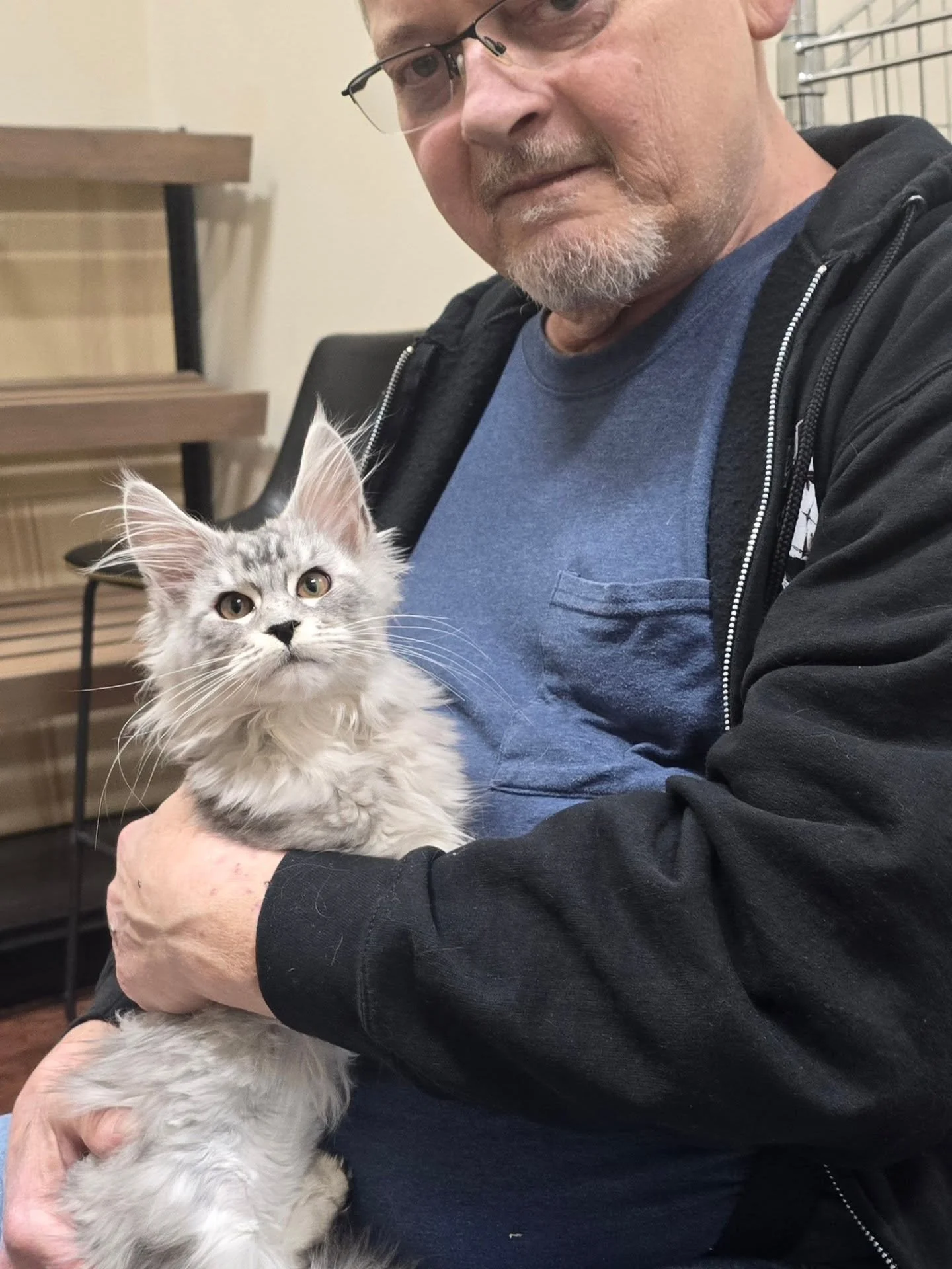 Closing out the last of the Go Home Days for the "D" Litter, we have Demelza joining the Nichols family! She'll be on the receiving end of never ending cuddles and play time. 🥳 Enjoy the little ball of mischief!

Stay tuned for updates on 