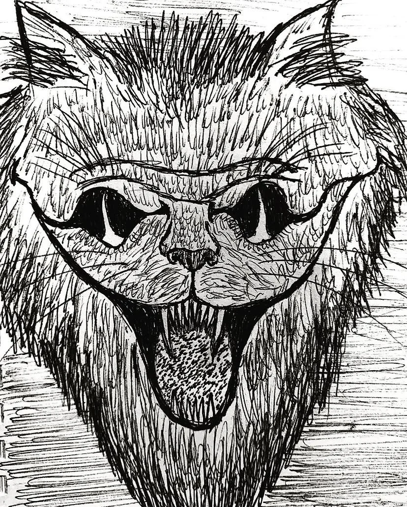 Black Cat
