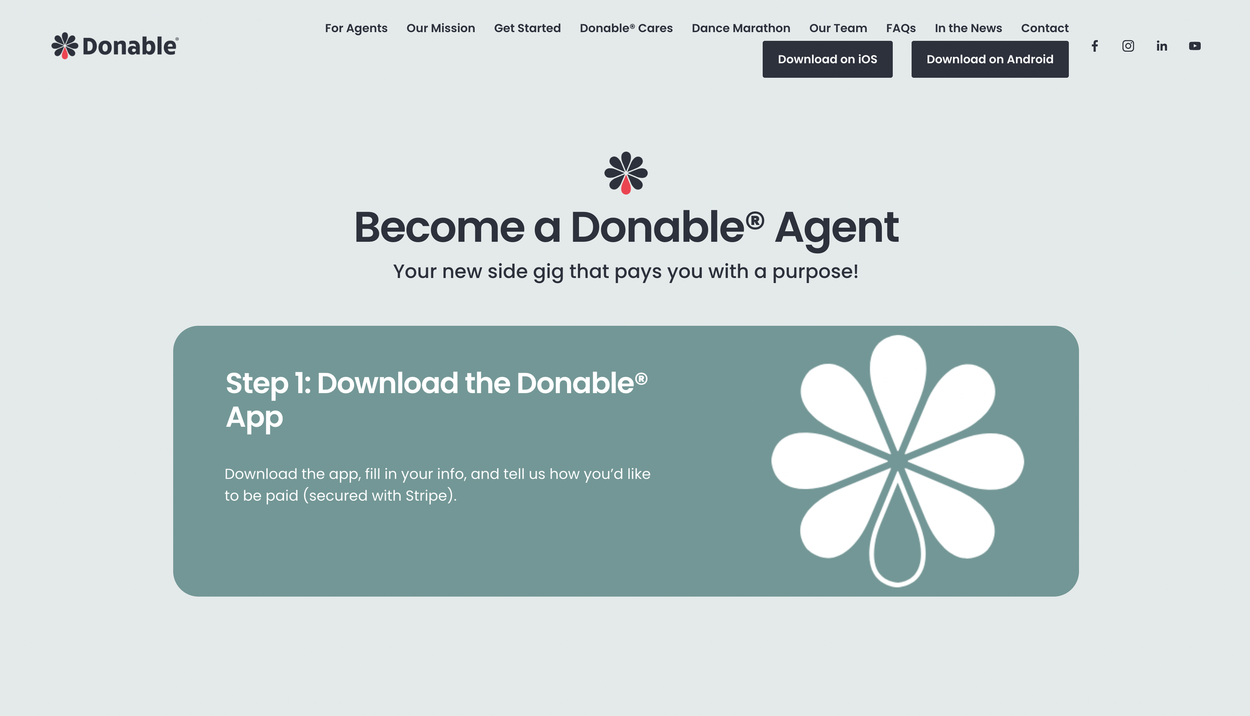 Screenshot 2024-10-28 at 9.56.16 PM.png