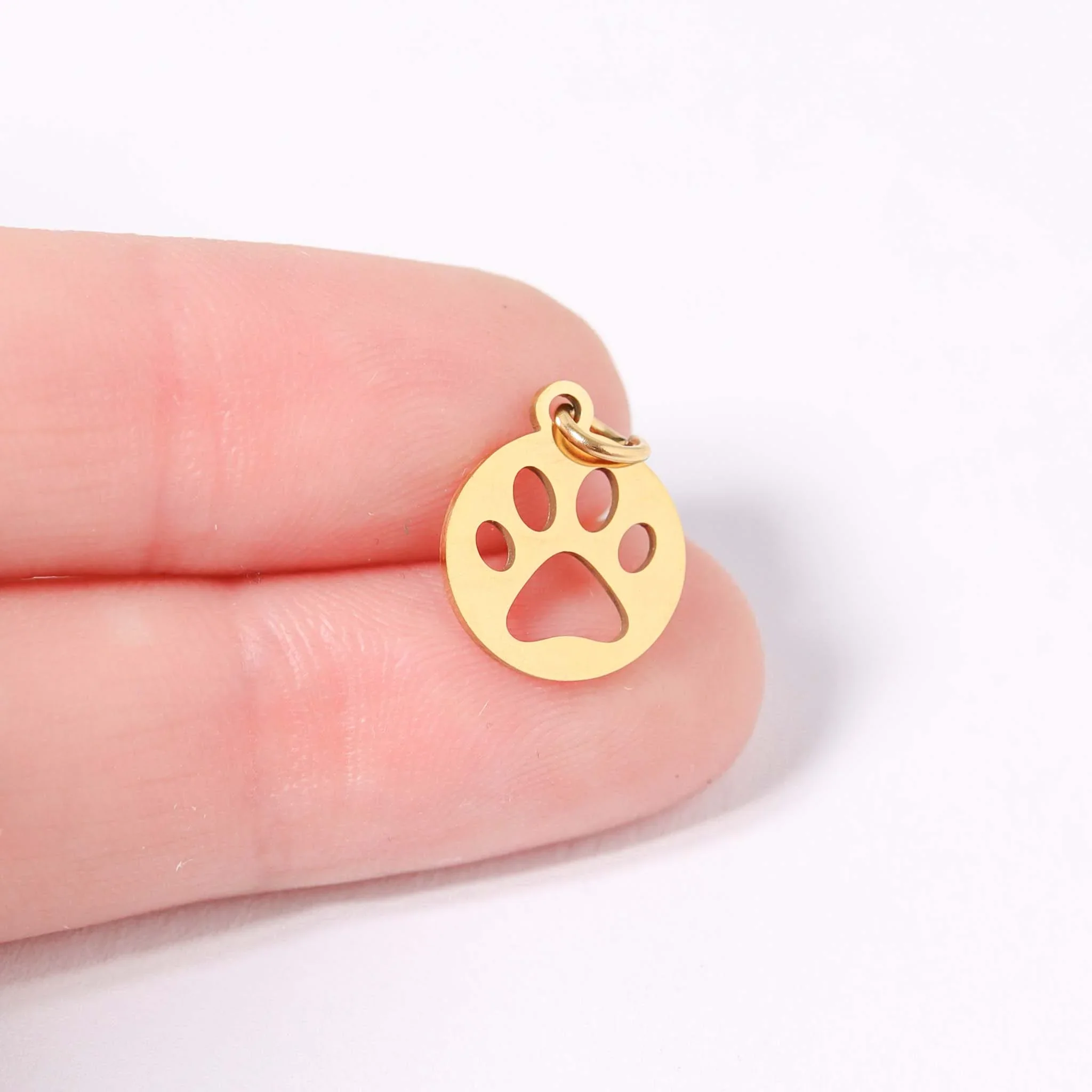 CXSA148P Dog Paw-2.jpg.webp