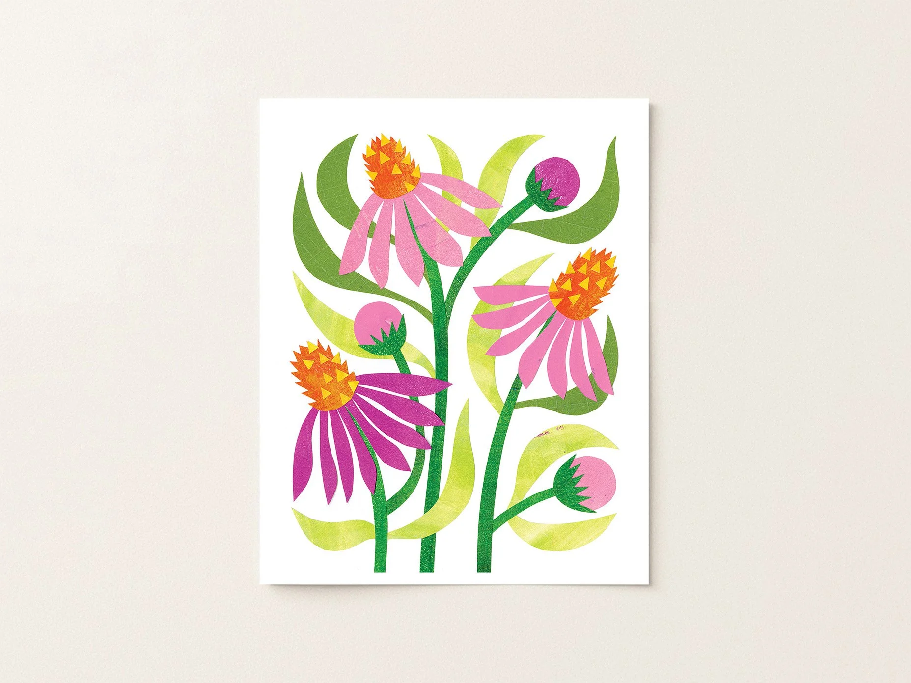 Coneflower - Print