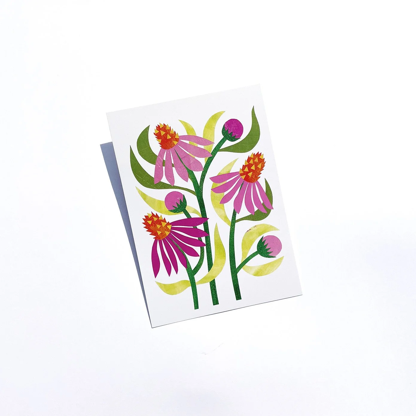 coneflower5x7.jpg