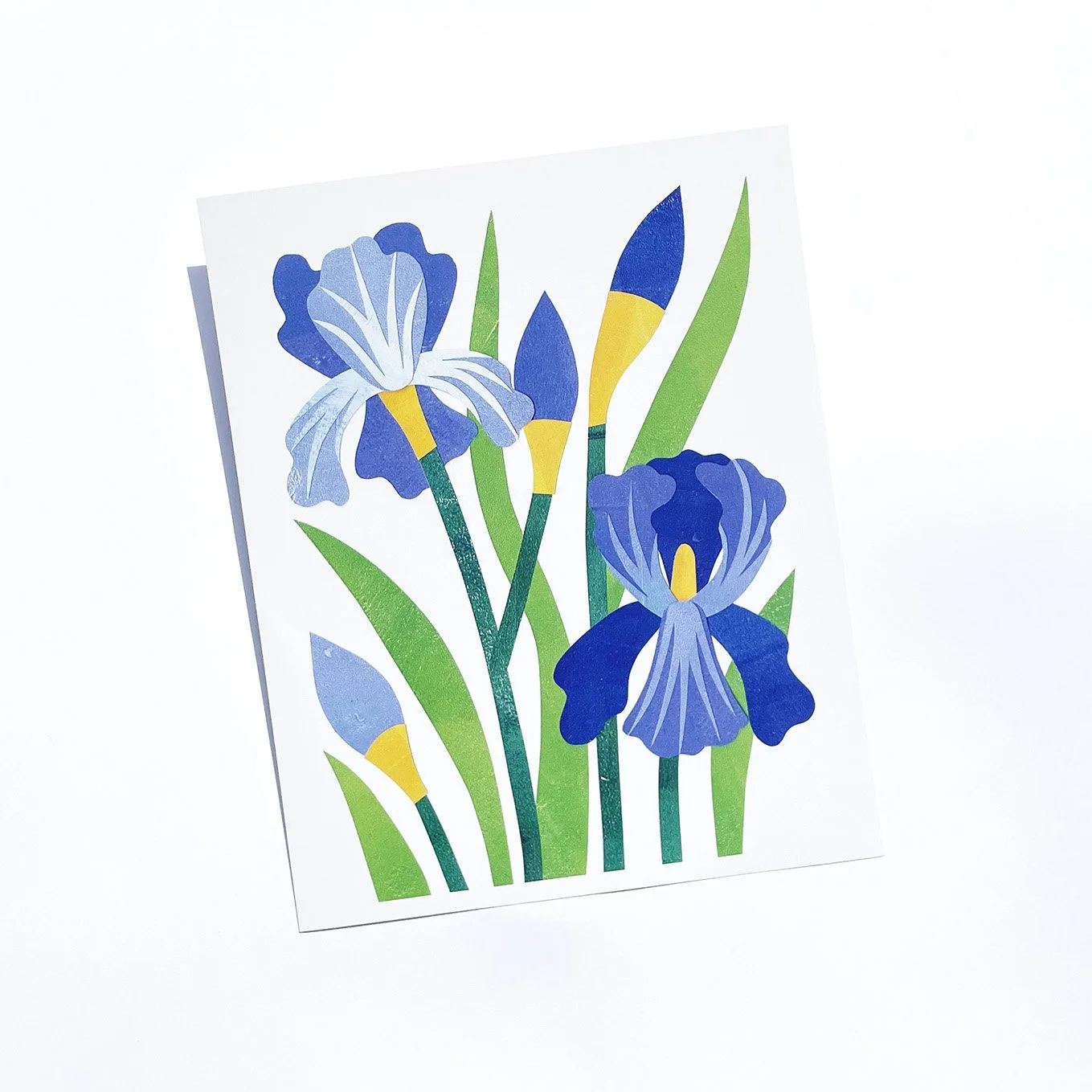 Blue Iris - Print