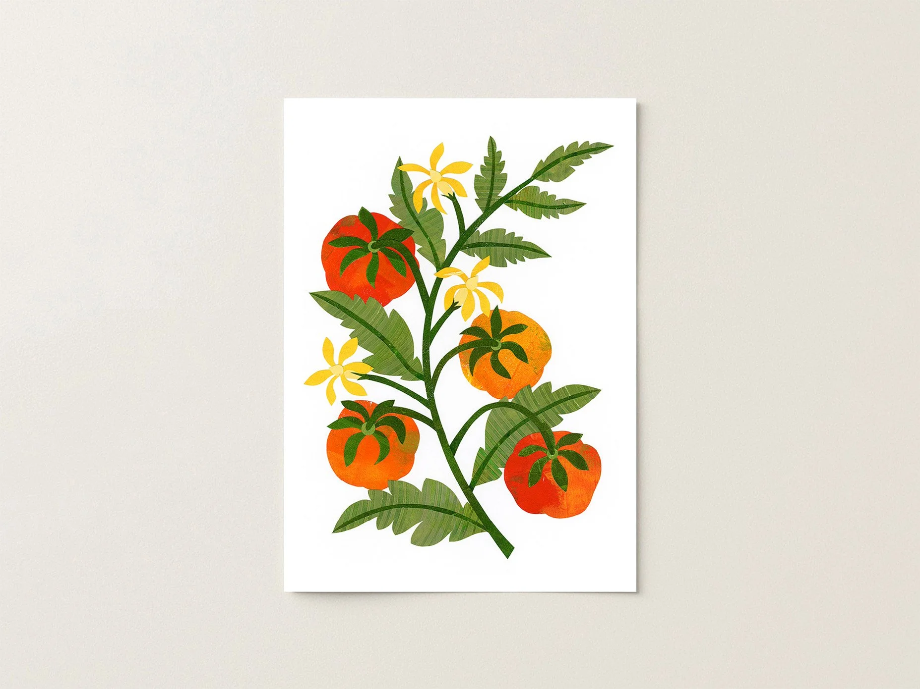 Tomato_5x7.jpg