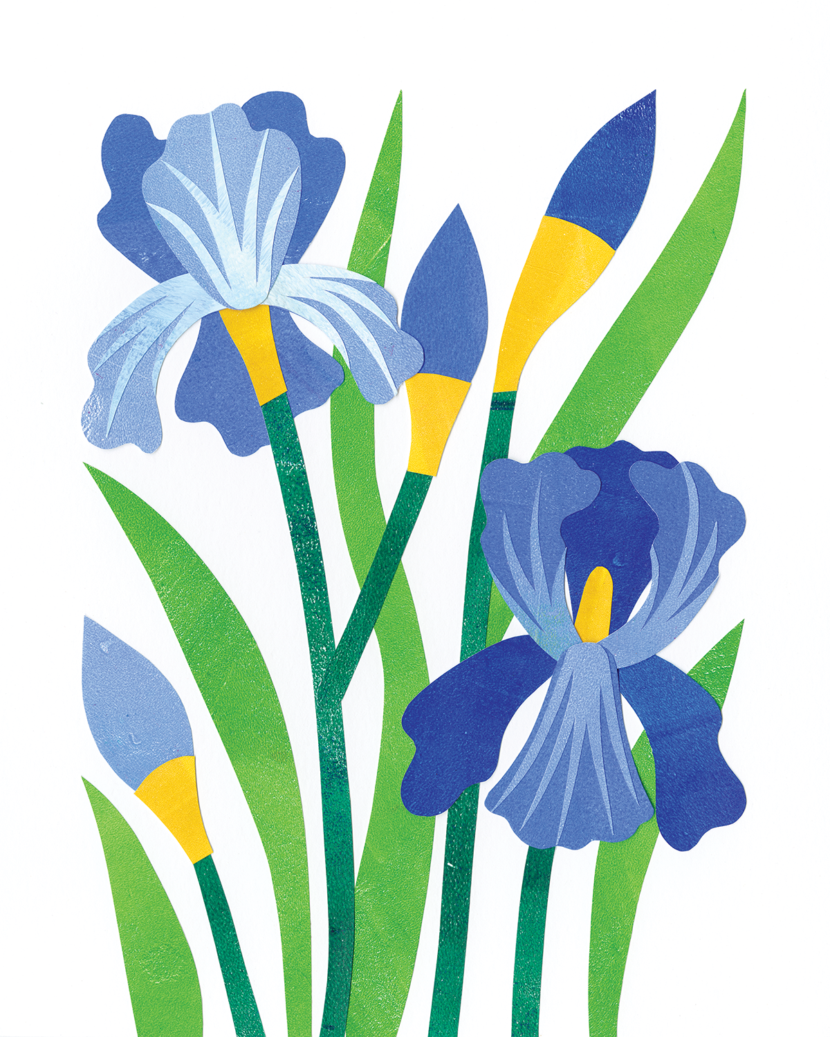 blueiris_2100px.png