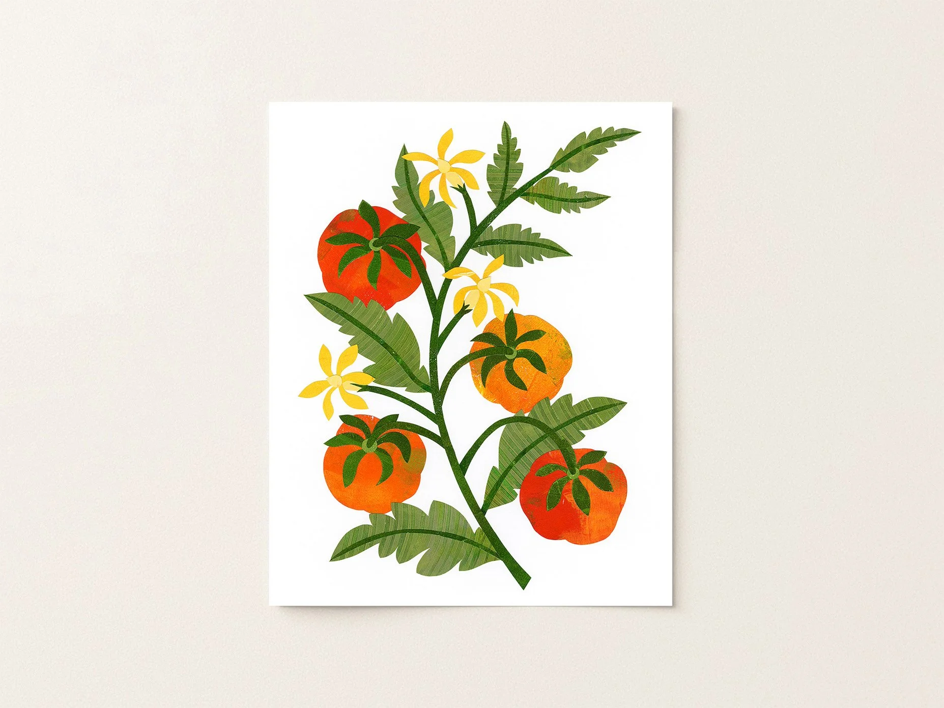 Tomato_8x10.jpg