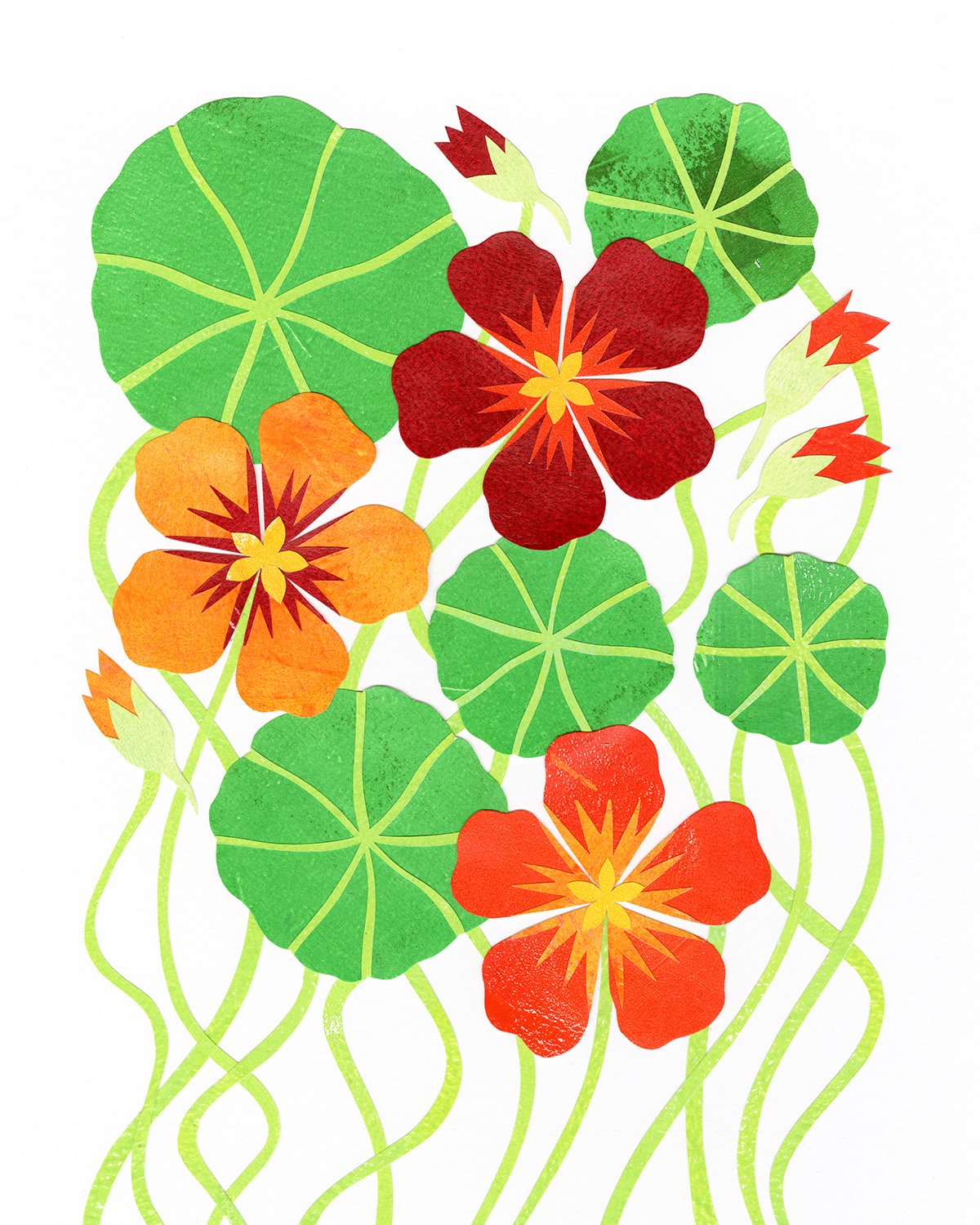 Nasturtium Paper Collage Art Phoebe Maris