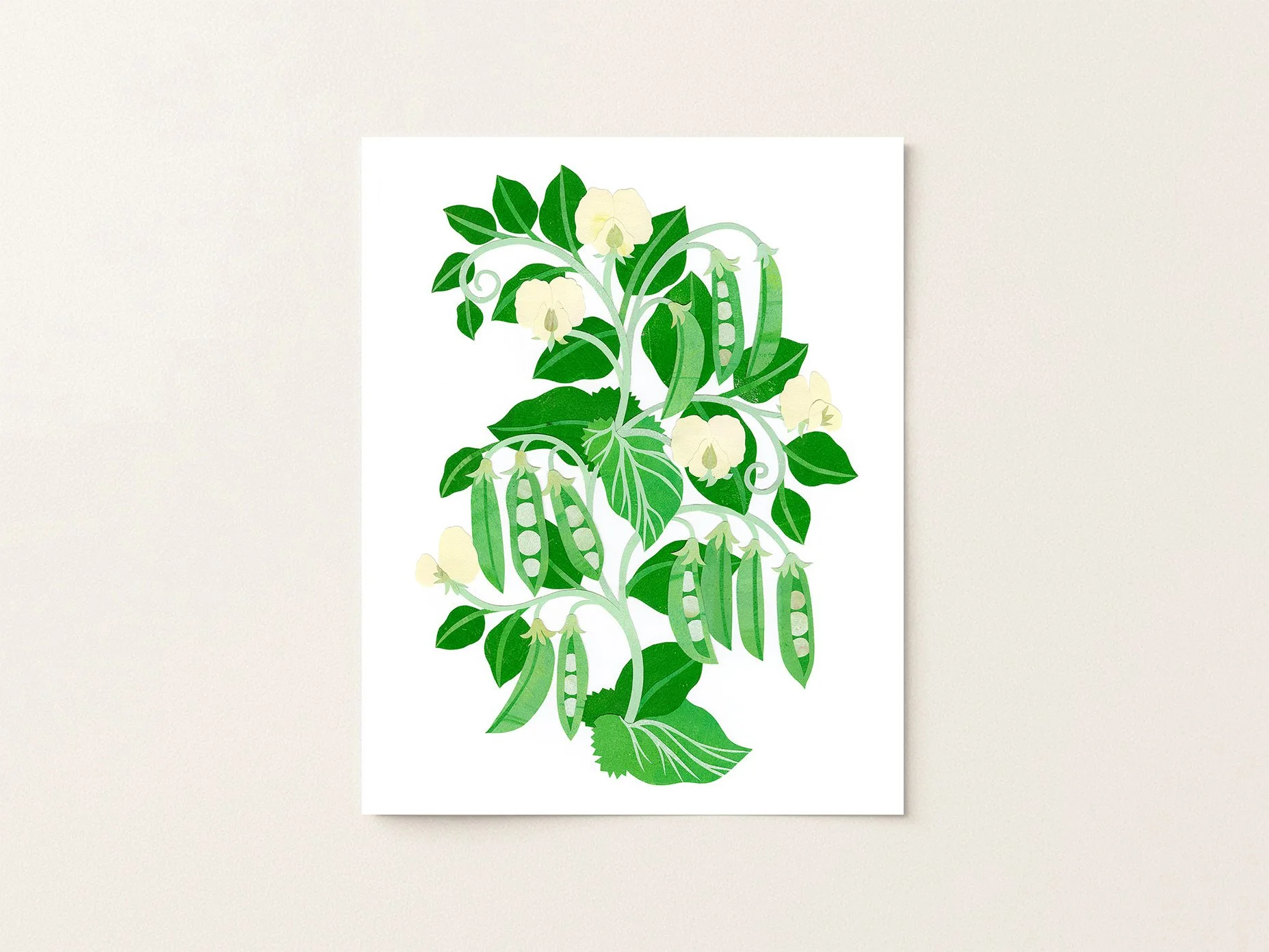 Sweet Pea Vine - Print
