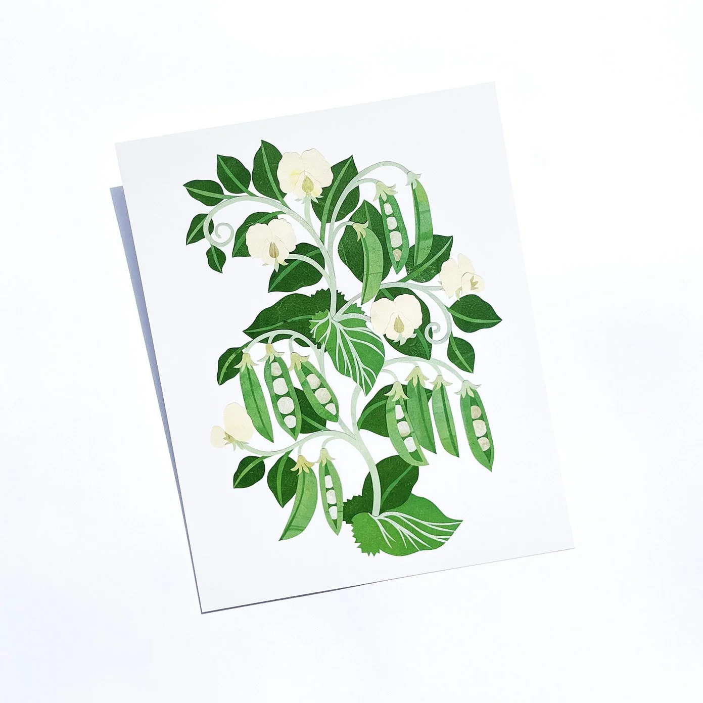 Sweet Pea Vine - Print