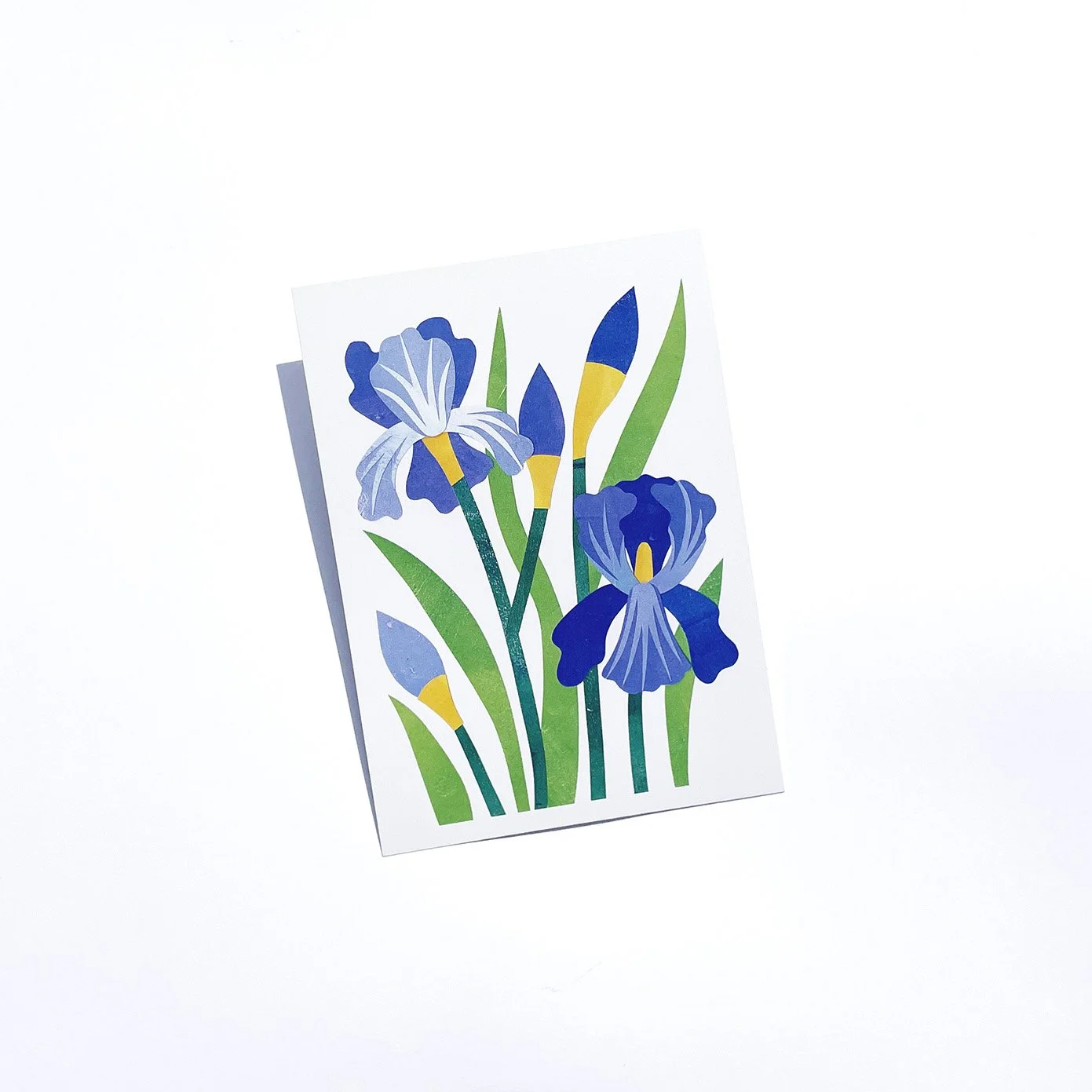 iris5x7.jpg