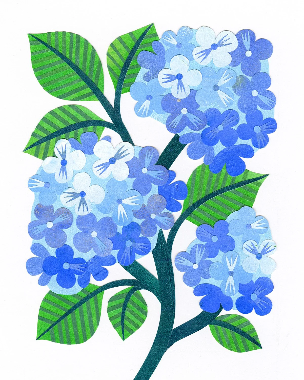 Hydrangea Paper Collage Art Phoebe Maris