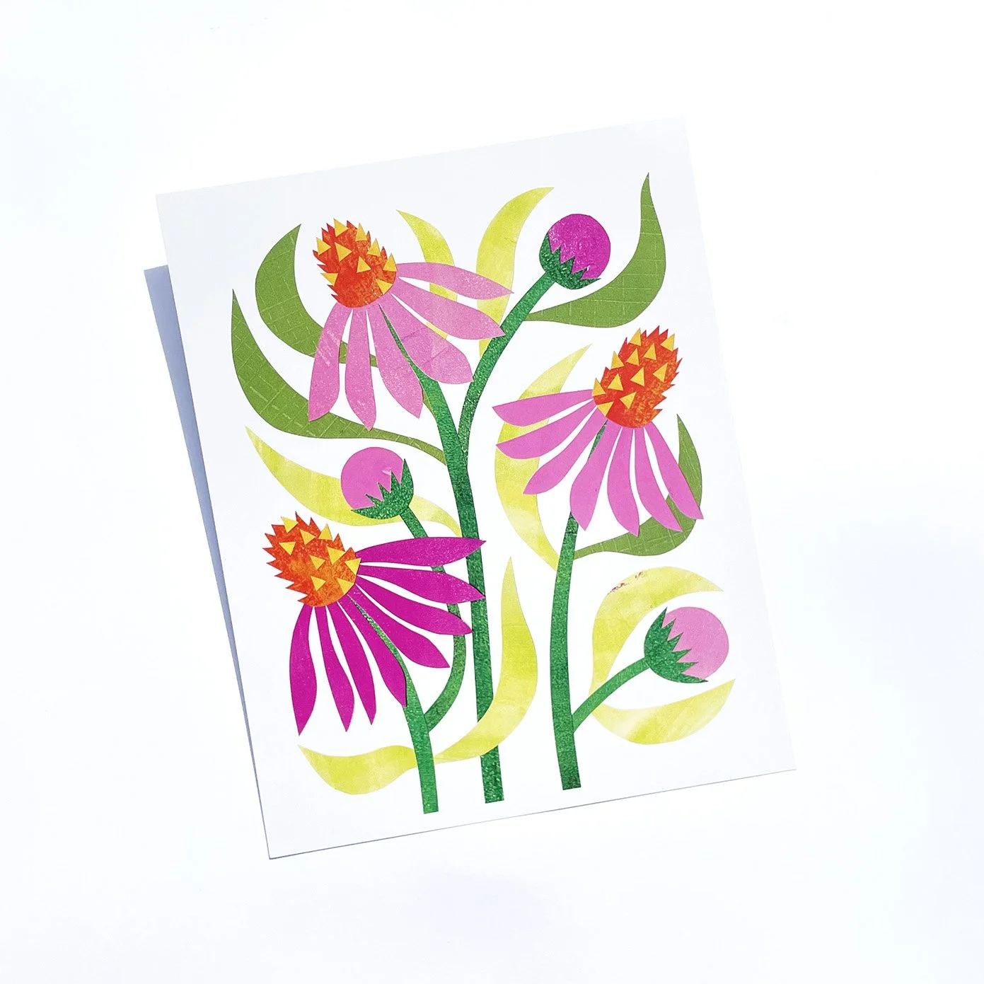 Cone Flower - Print