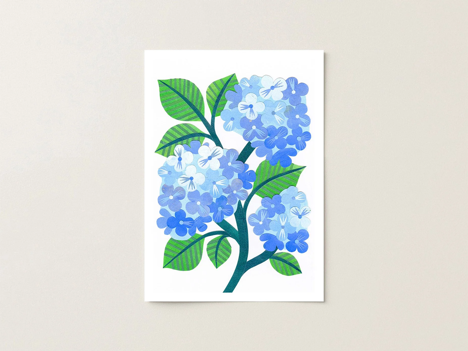 Hydrangea_5x7.jpg
