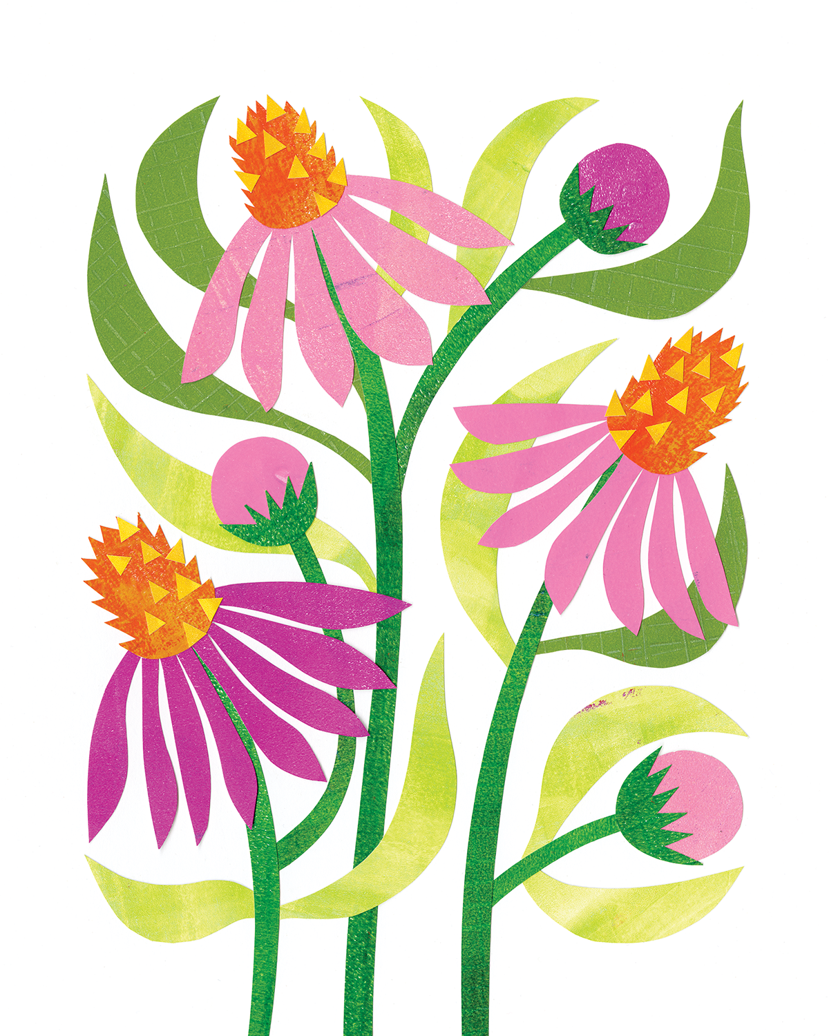 coneflowers_1500.png