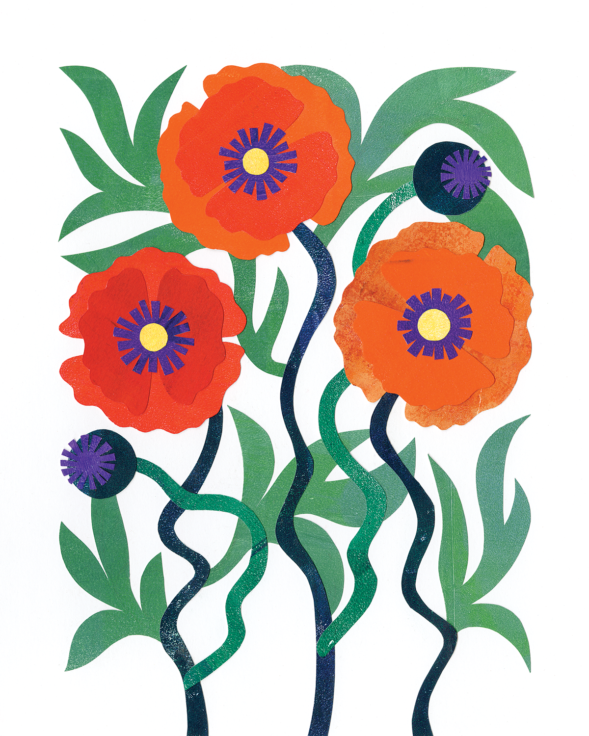 Poppies