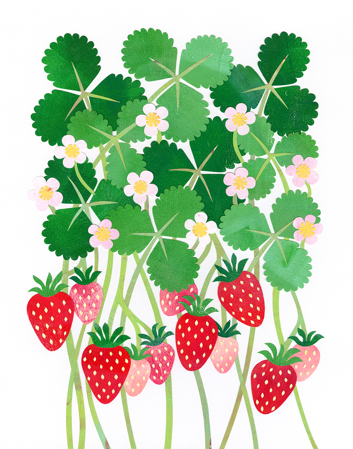 strawberries_1500.png