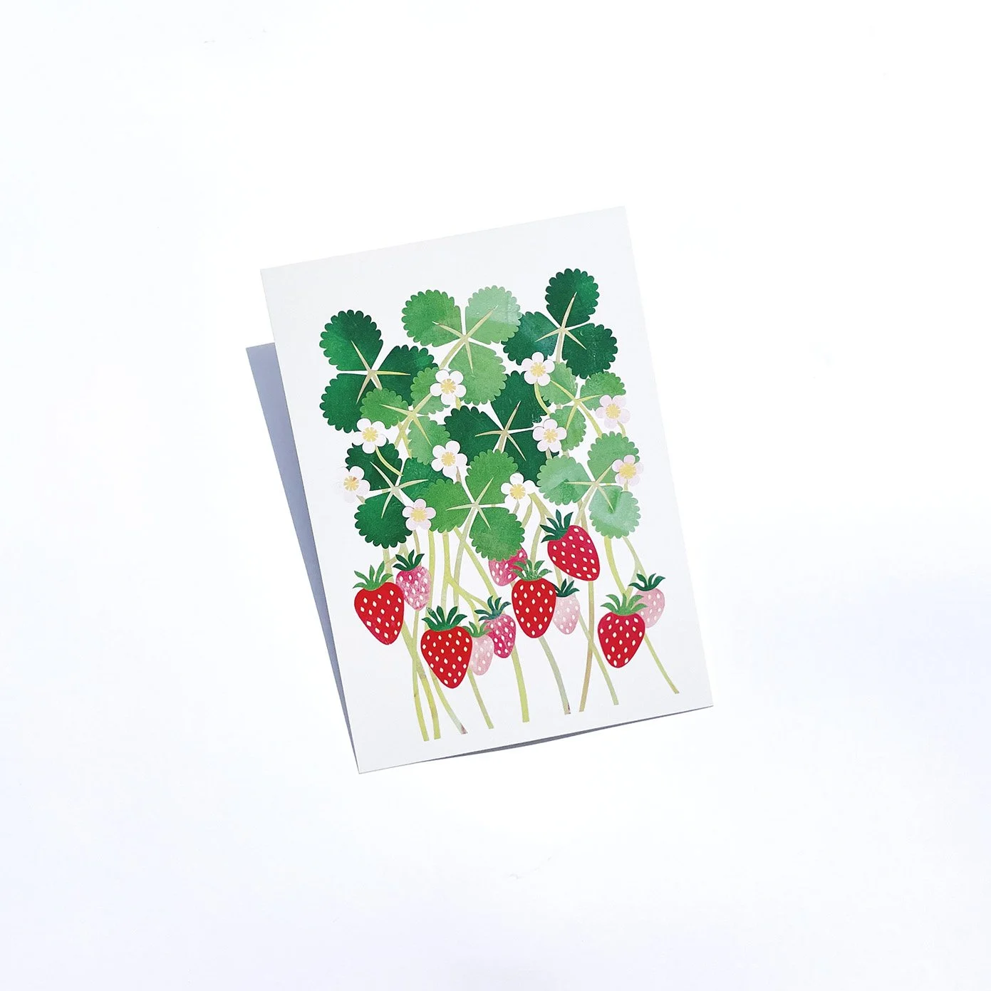 strawberries5x7.jpg