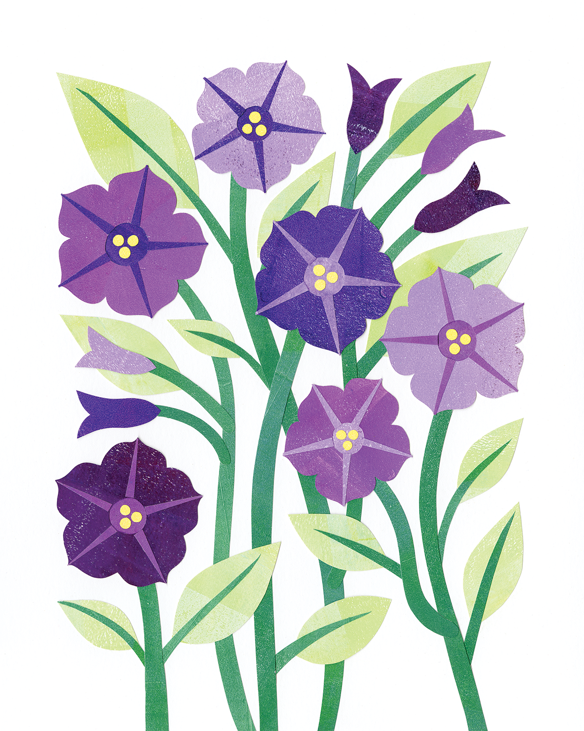 Petunias