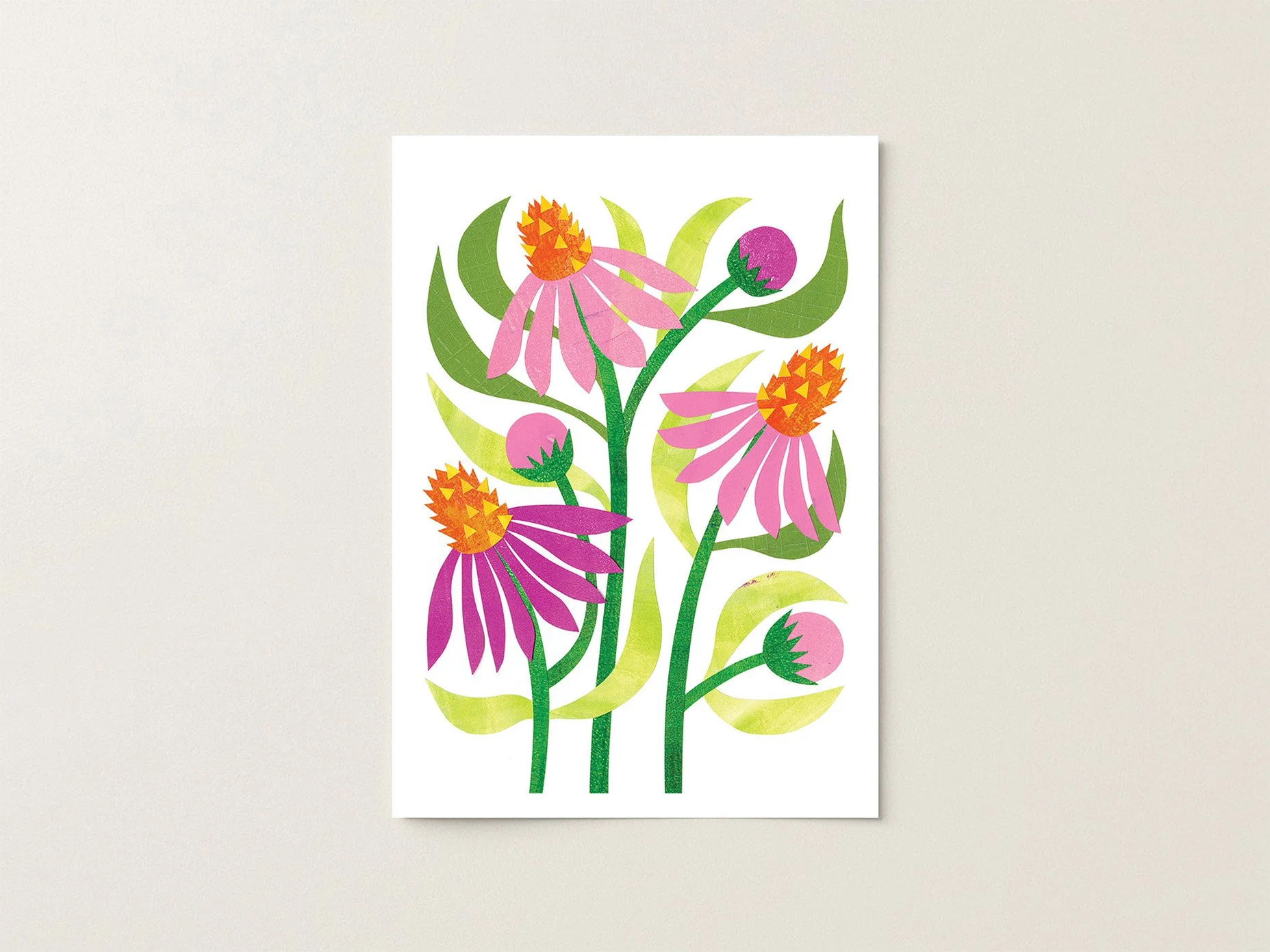 Coneflower_5x7.jpg