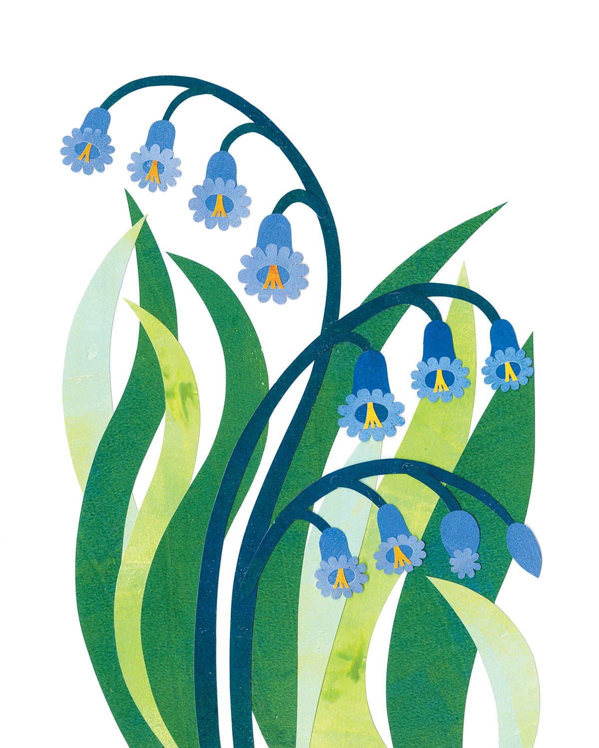 Bluebells