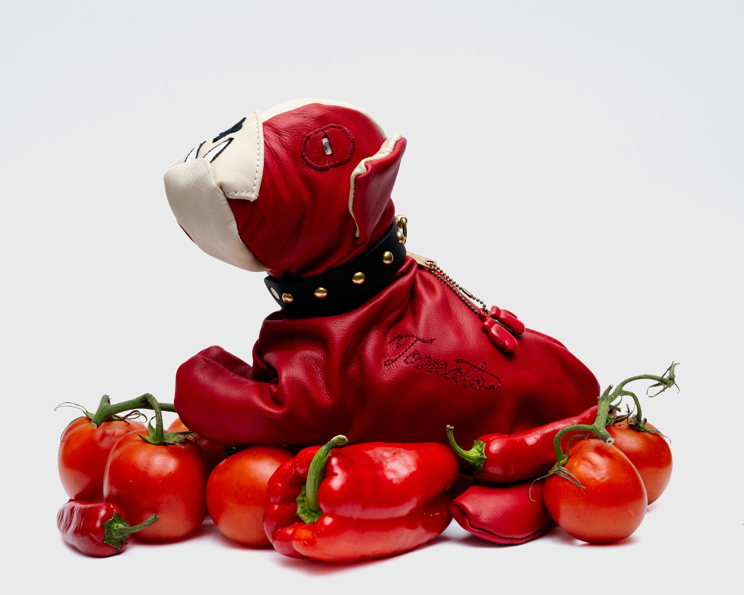 CECIL B MOXIE TOMATO BULLDOG-11.jpg